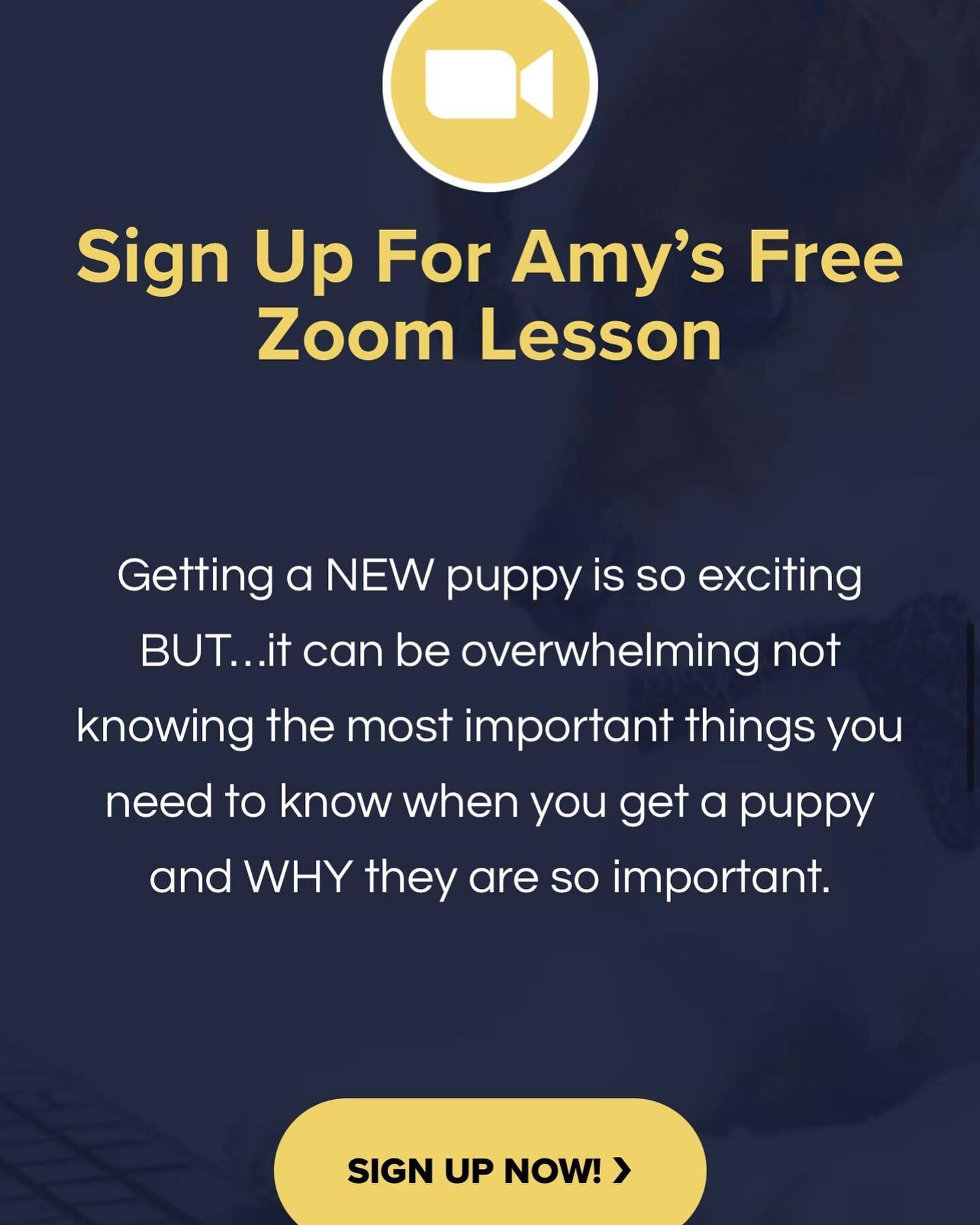 New Puppy 🐶 need some help? My Free Zoom lesson on puppy set up is here!! Sign up (Link in my Bio on Instagram) or click below on FB ⬇️ 

https://www.amysprepuppyschool.com/free-live-zoom-lesson-with-amy-july