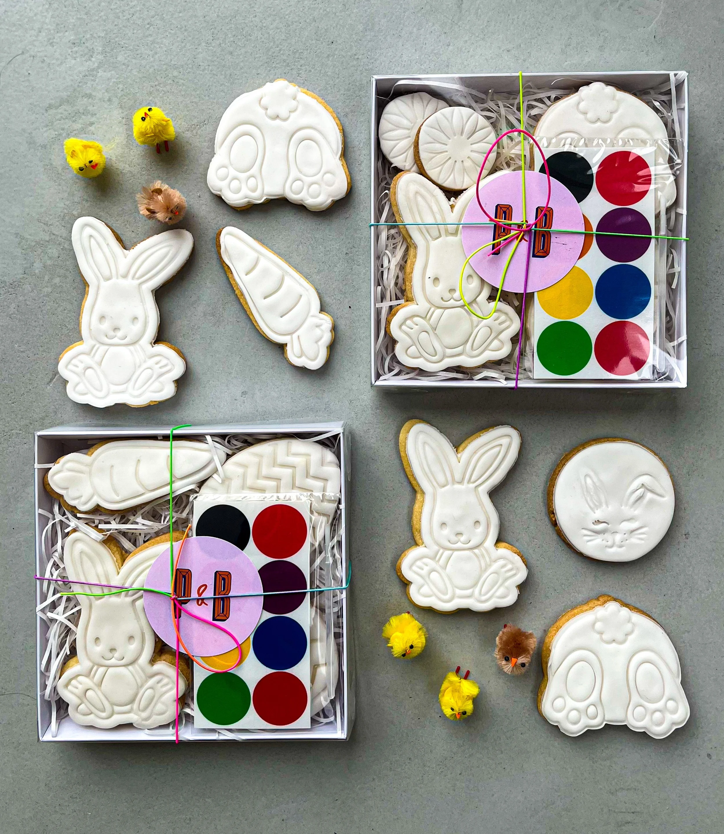 Edible Paint Biscuits — Pickles & Bakes