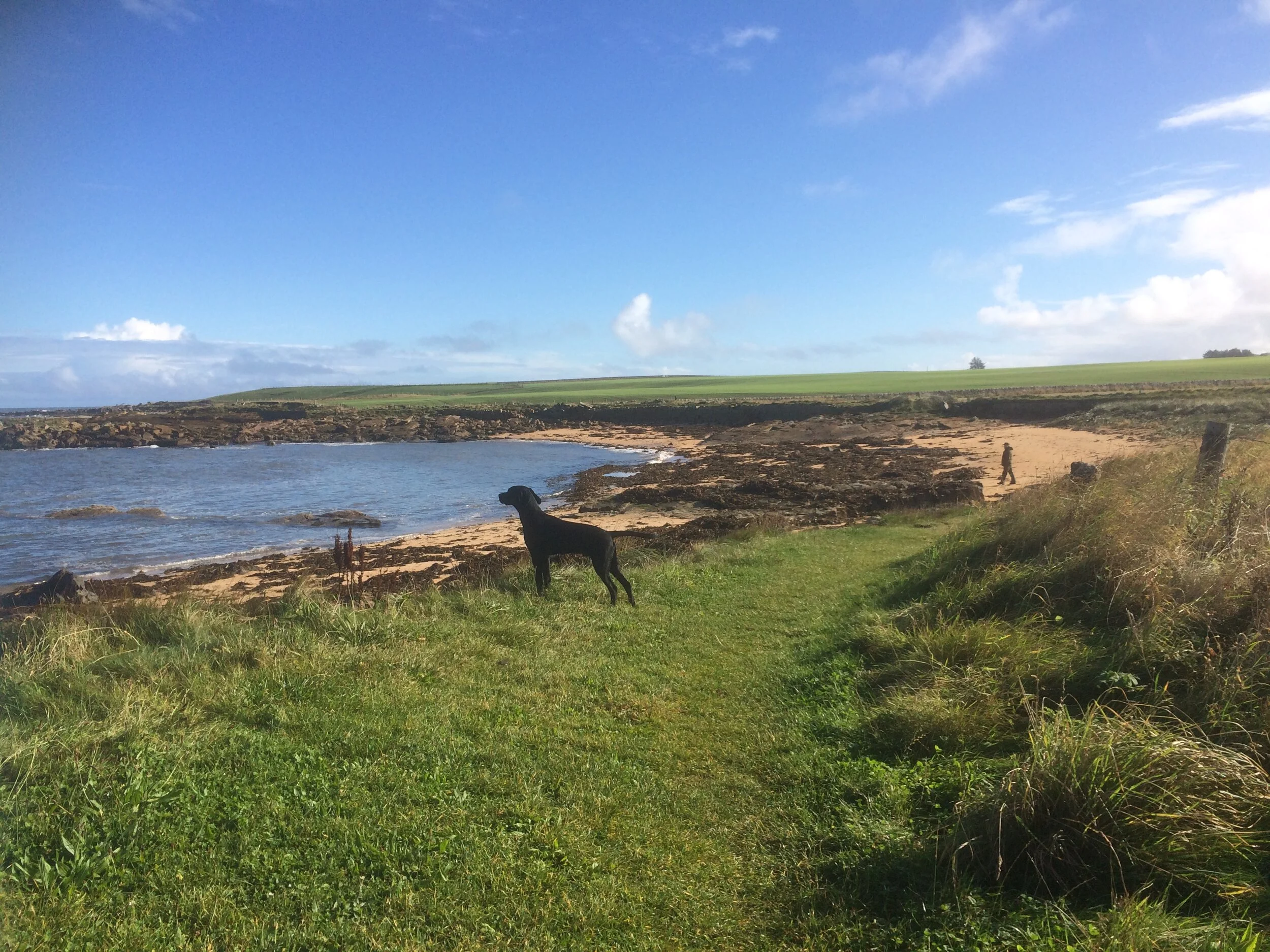 Fife Coastal Path