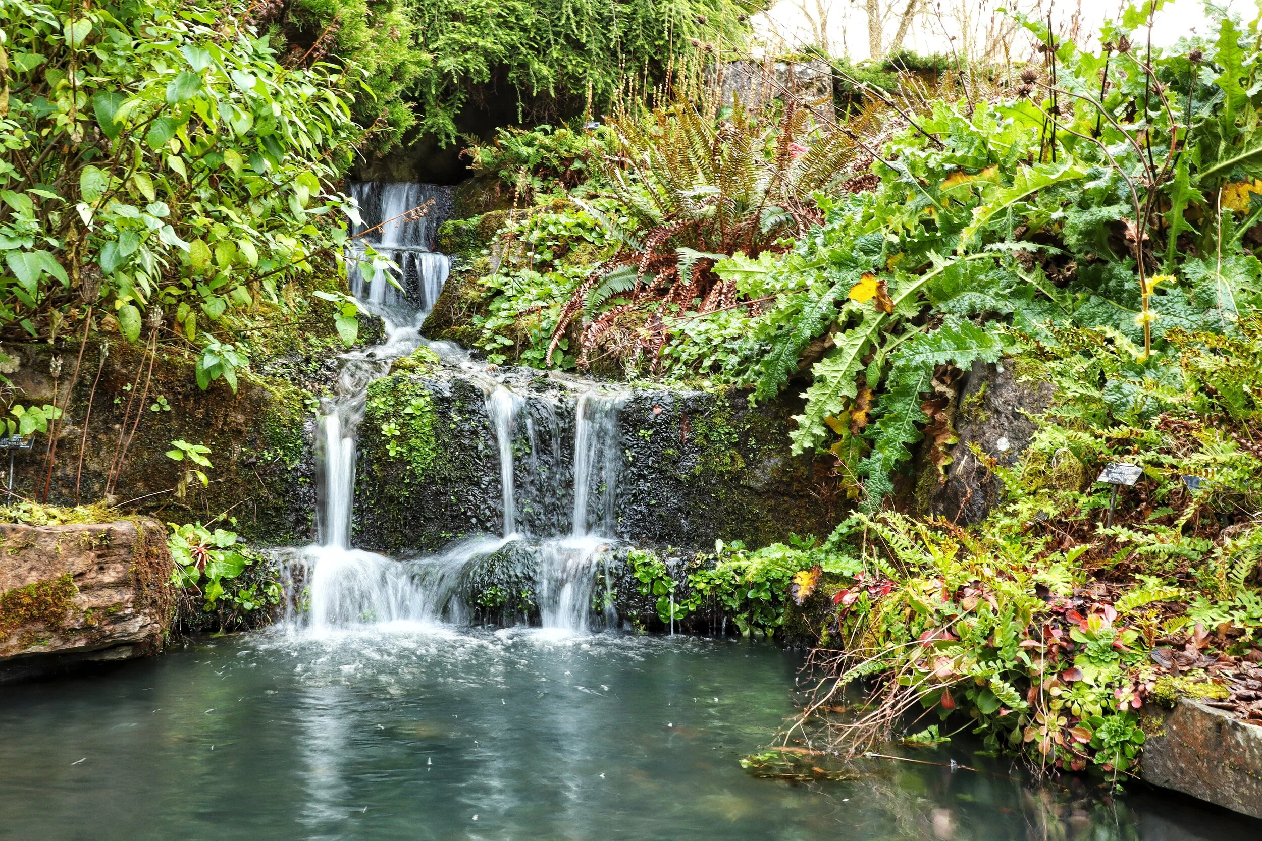 St Andrews Botanic Garden