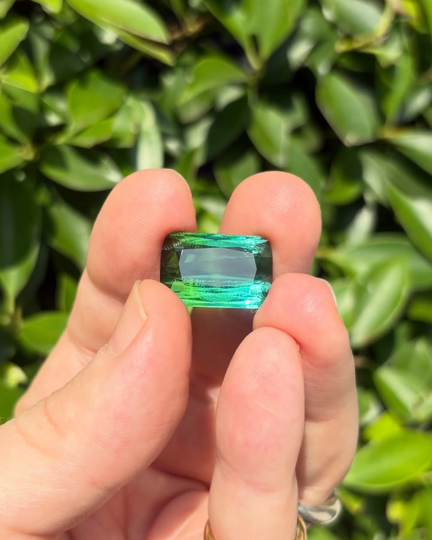 What you see is a conversation between 2 moments in a gemstones life. Leafy green and indicolite teal creates an enigmatic spectrum, crystallised for eternity. Faceted for our eyes to behold.
This eye-clean, one of a kind stone is a miracle of nature