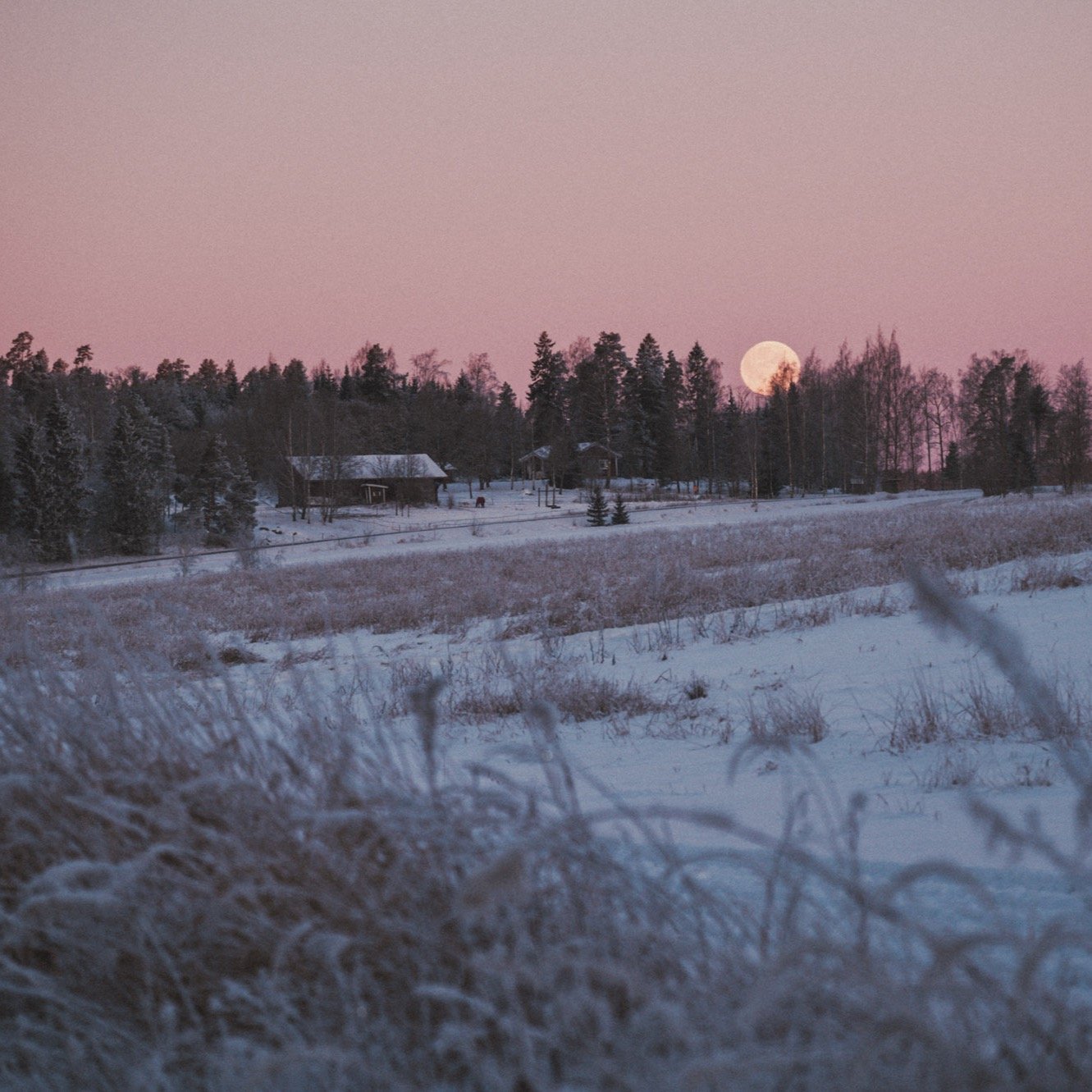 Cold fingers, quiet surroundings &mdash; and visuals that made it worth stopping for a moment.