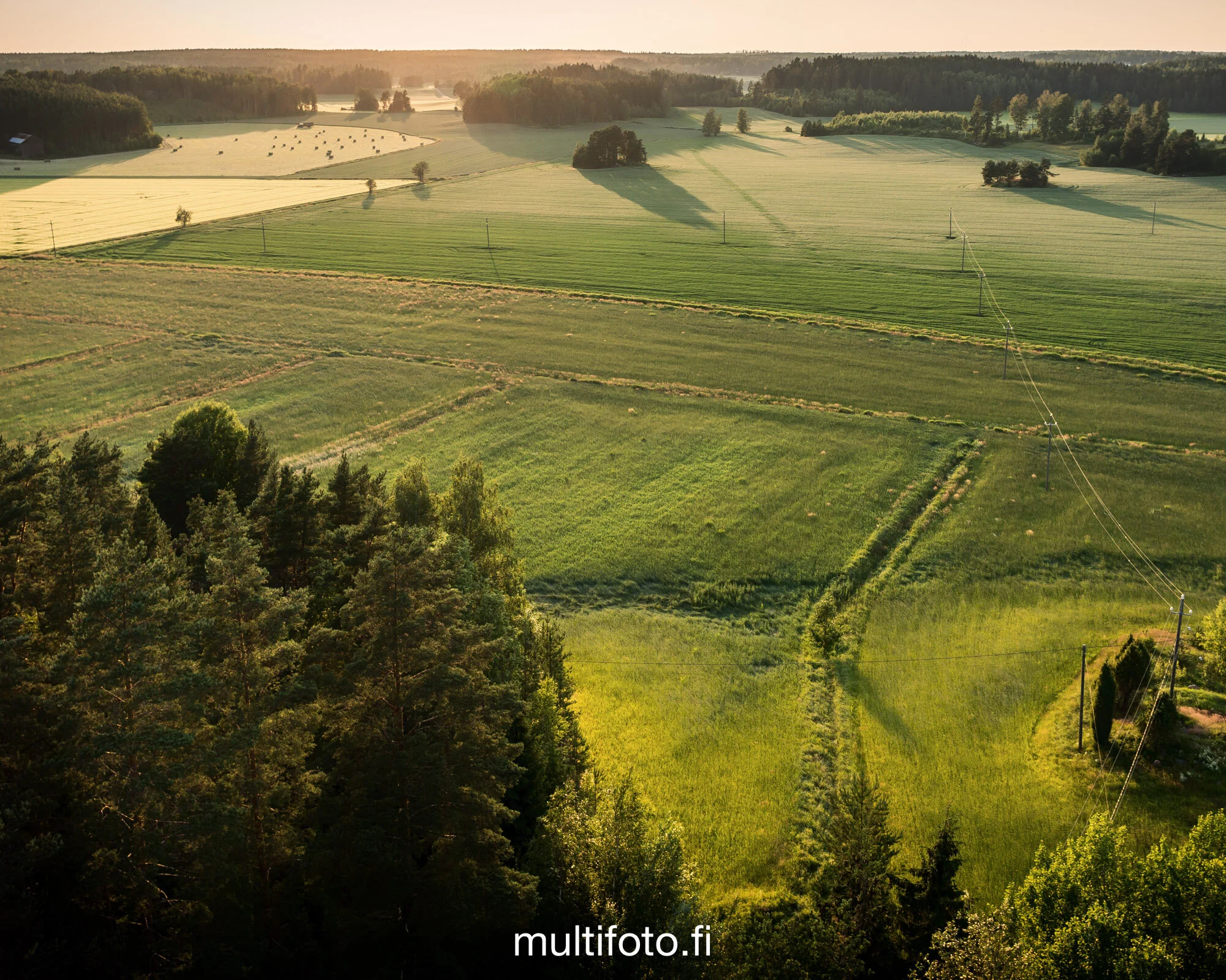multifoto-1.jpg