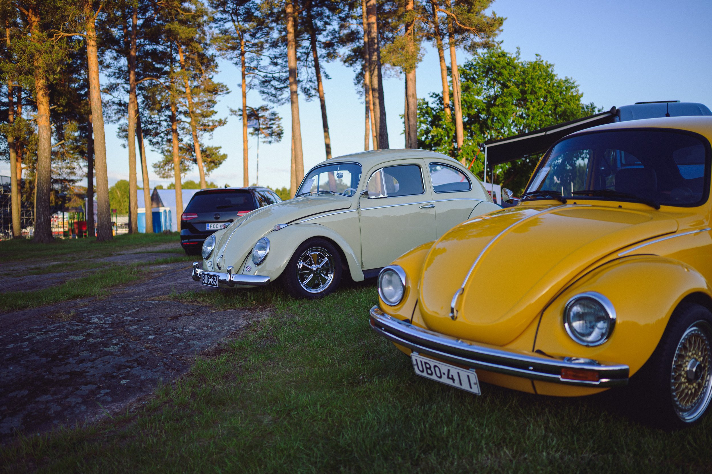 BugRun26_multifoto-107.jpg