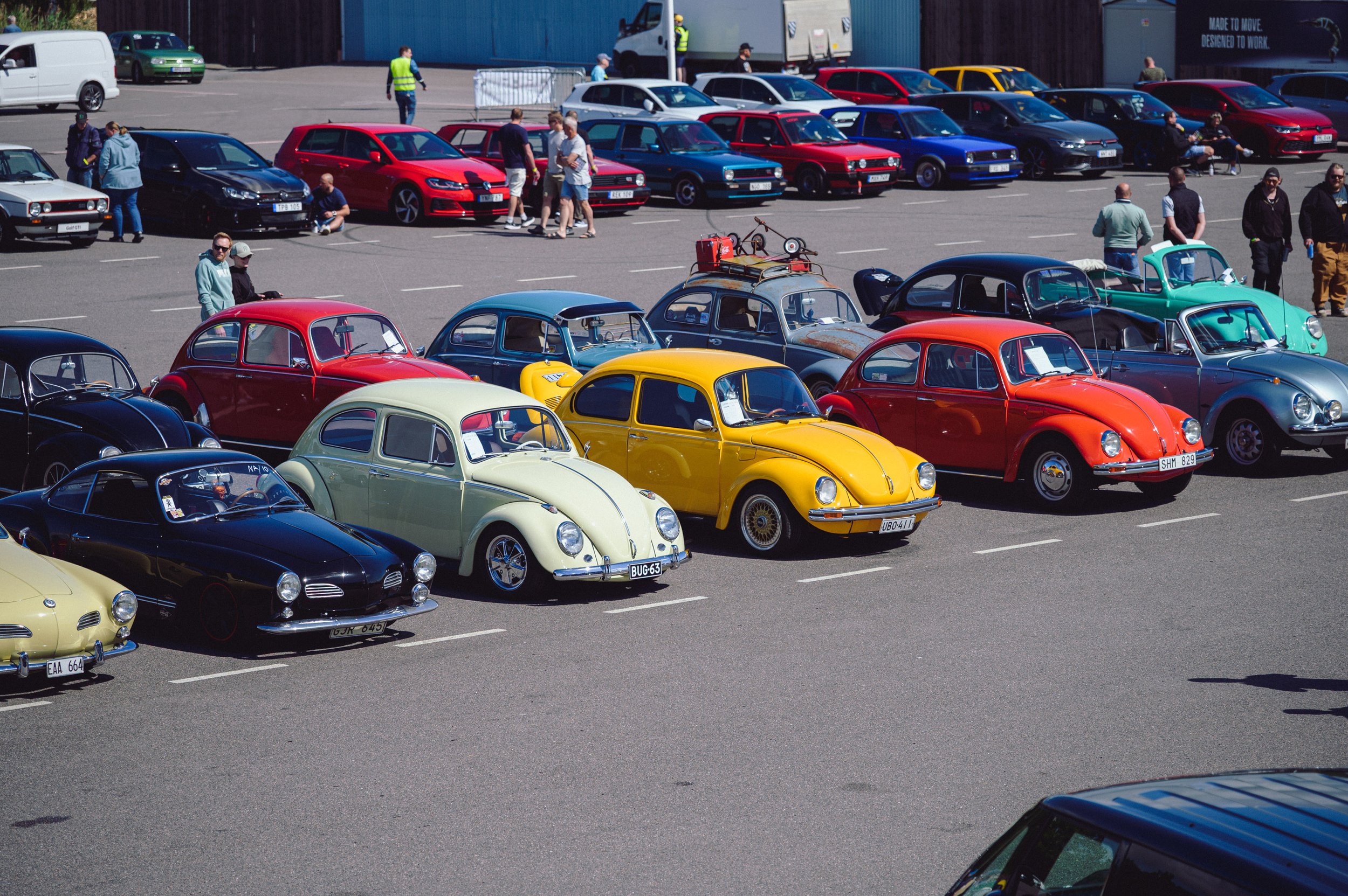 BugRun26_multifoto-41.jpg