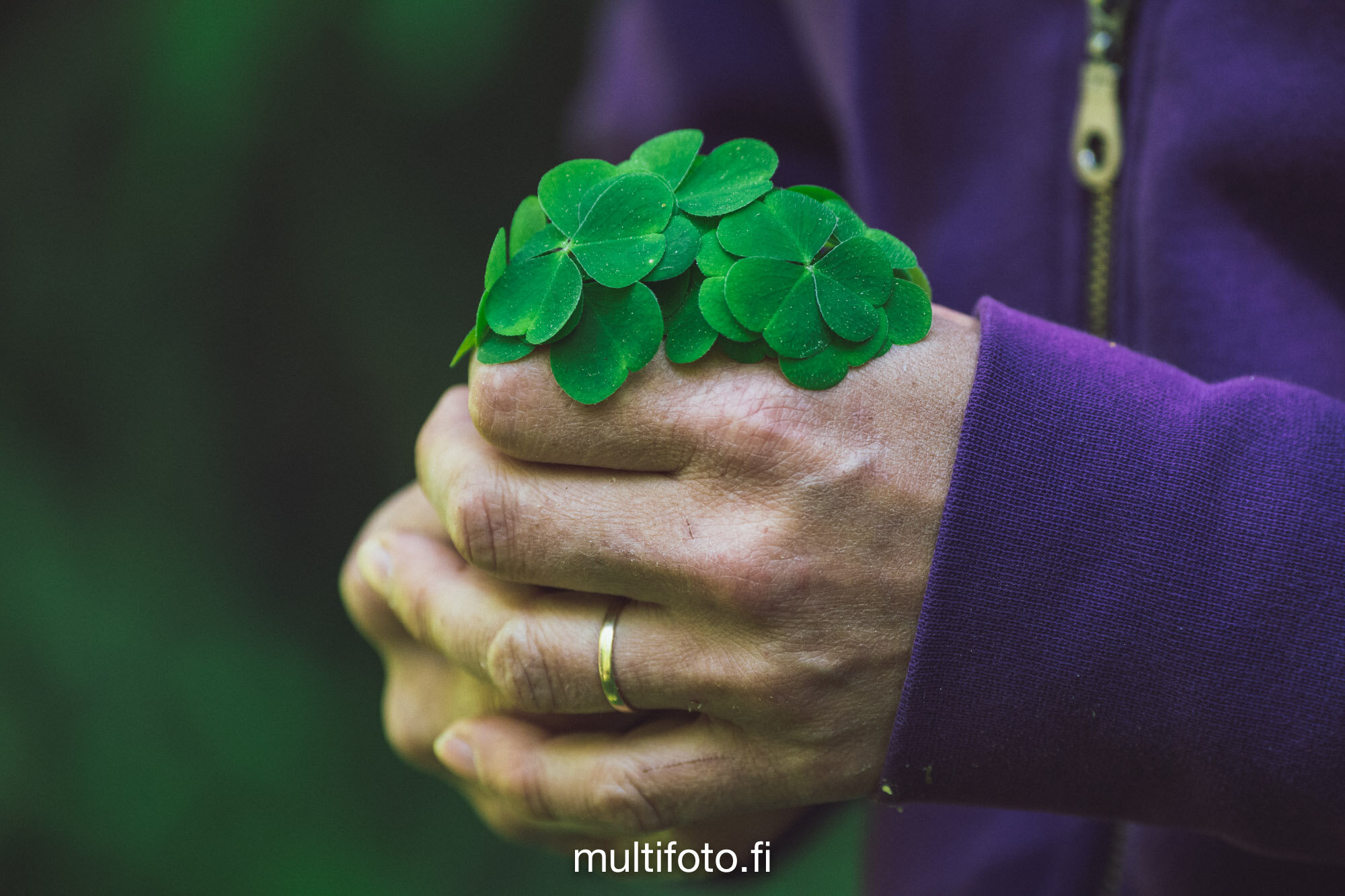 multifoto-24.jpg