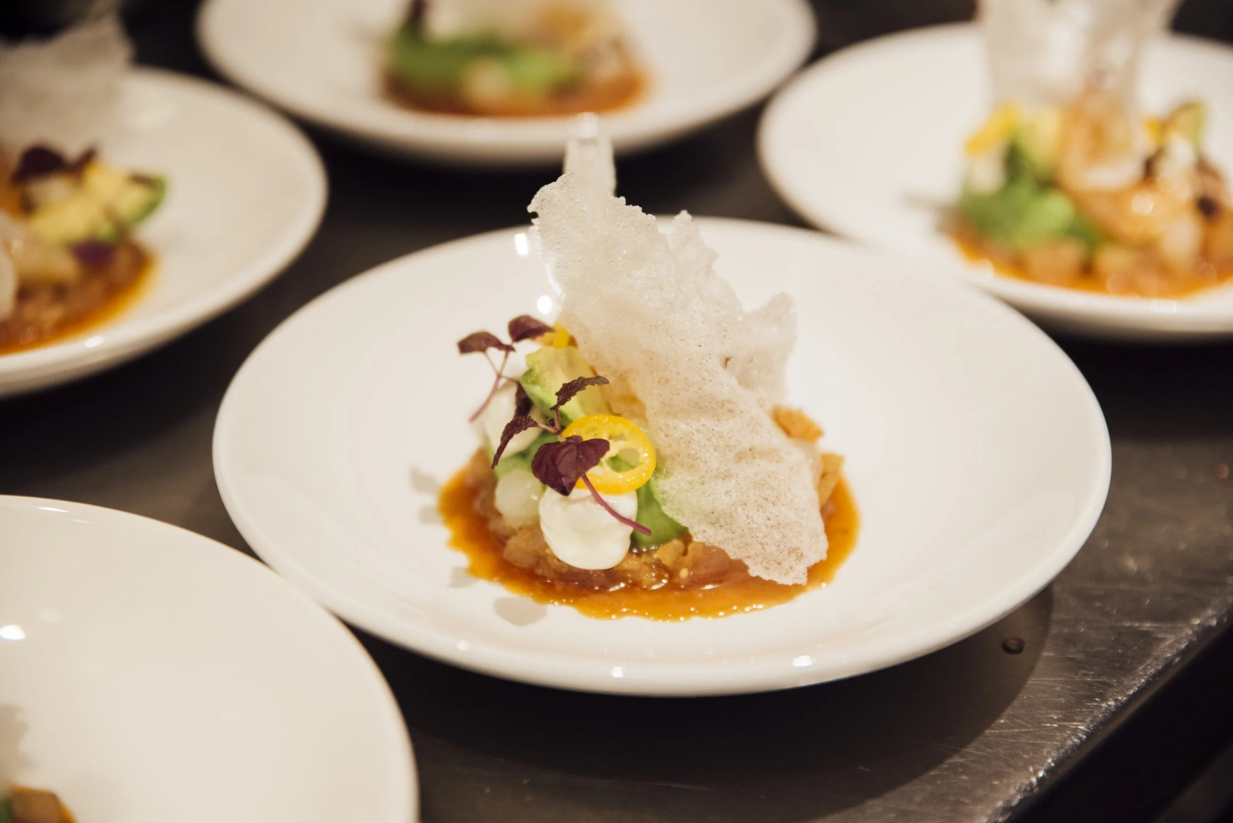 DSC_8959Elise_1 2.JPG