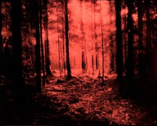 Martin Gleerup - The Red Forest