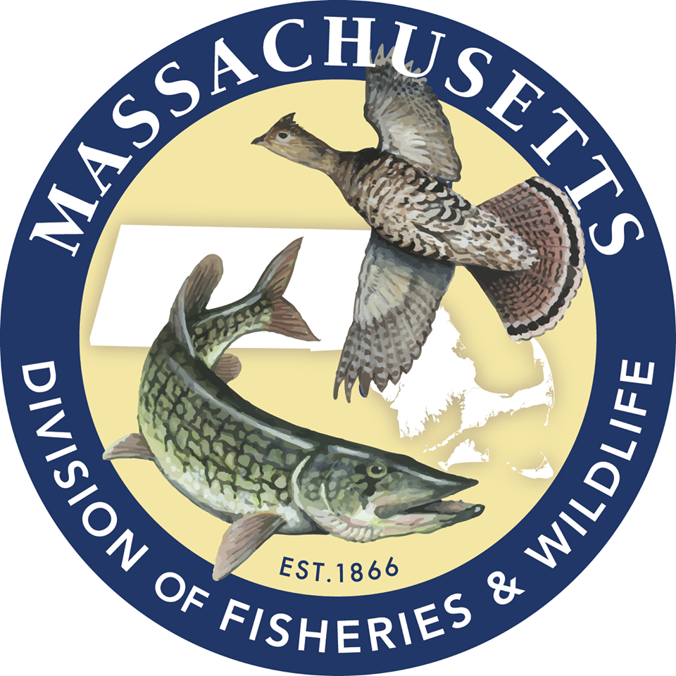 2022 Fishing & Hunting Licenses — Goose Hummock