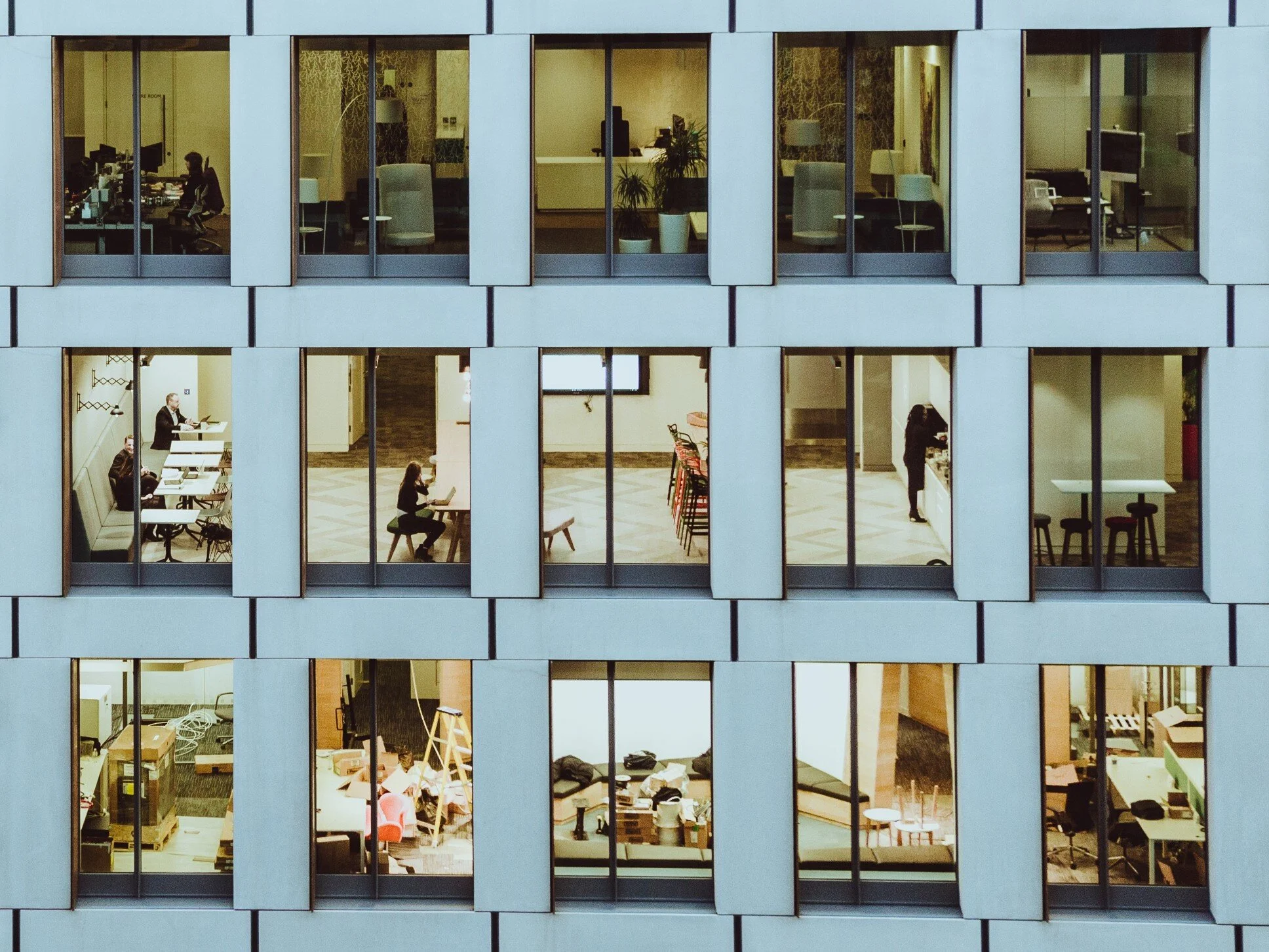 Problem types in organisations