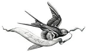 Kitty Clark Fine Art Photographer