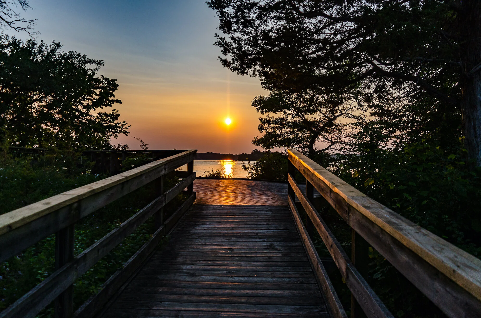 shutterstock_1140805586.jpg