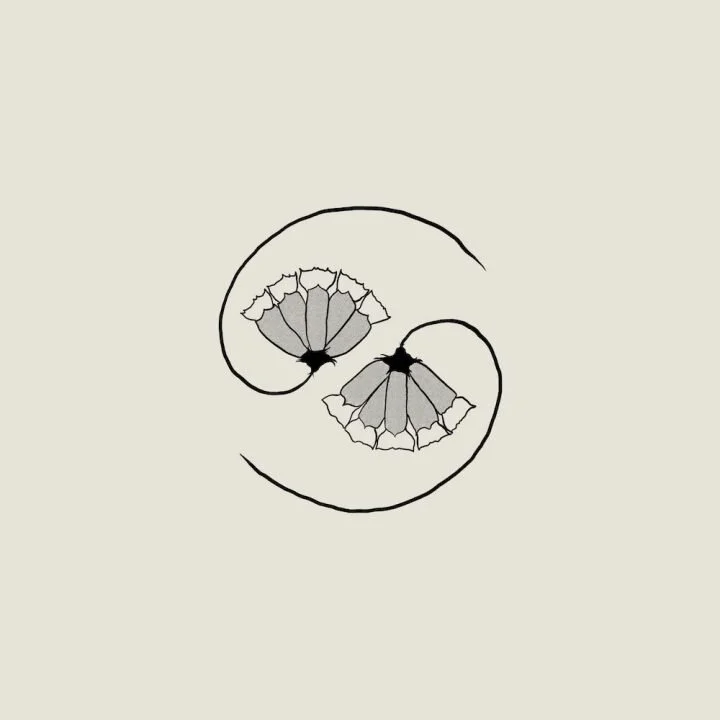 Godspeed You! Black Emperor - G_d’s Pee AT STATE’s END!