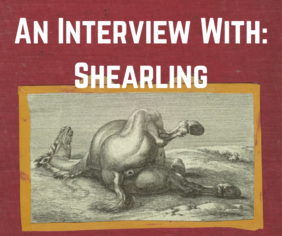 An Interview With: Shearling