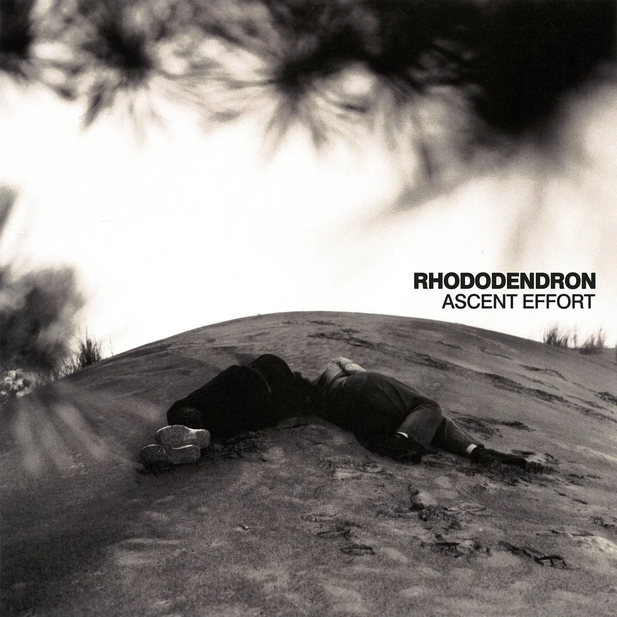 Rhododendron - Ascent Effort