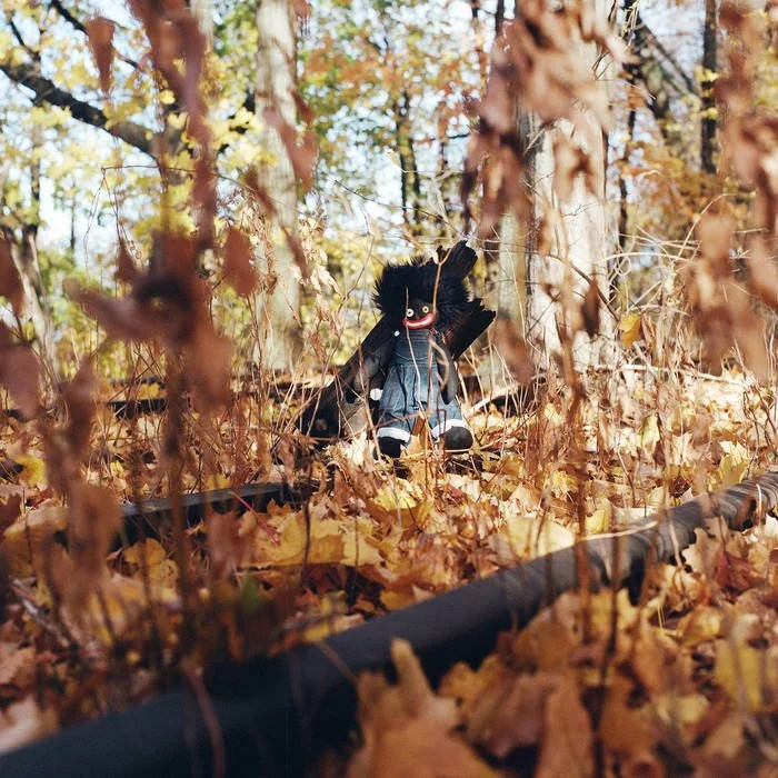 billy woods golliwog