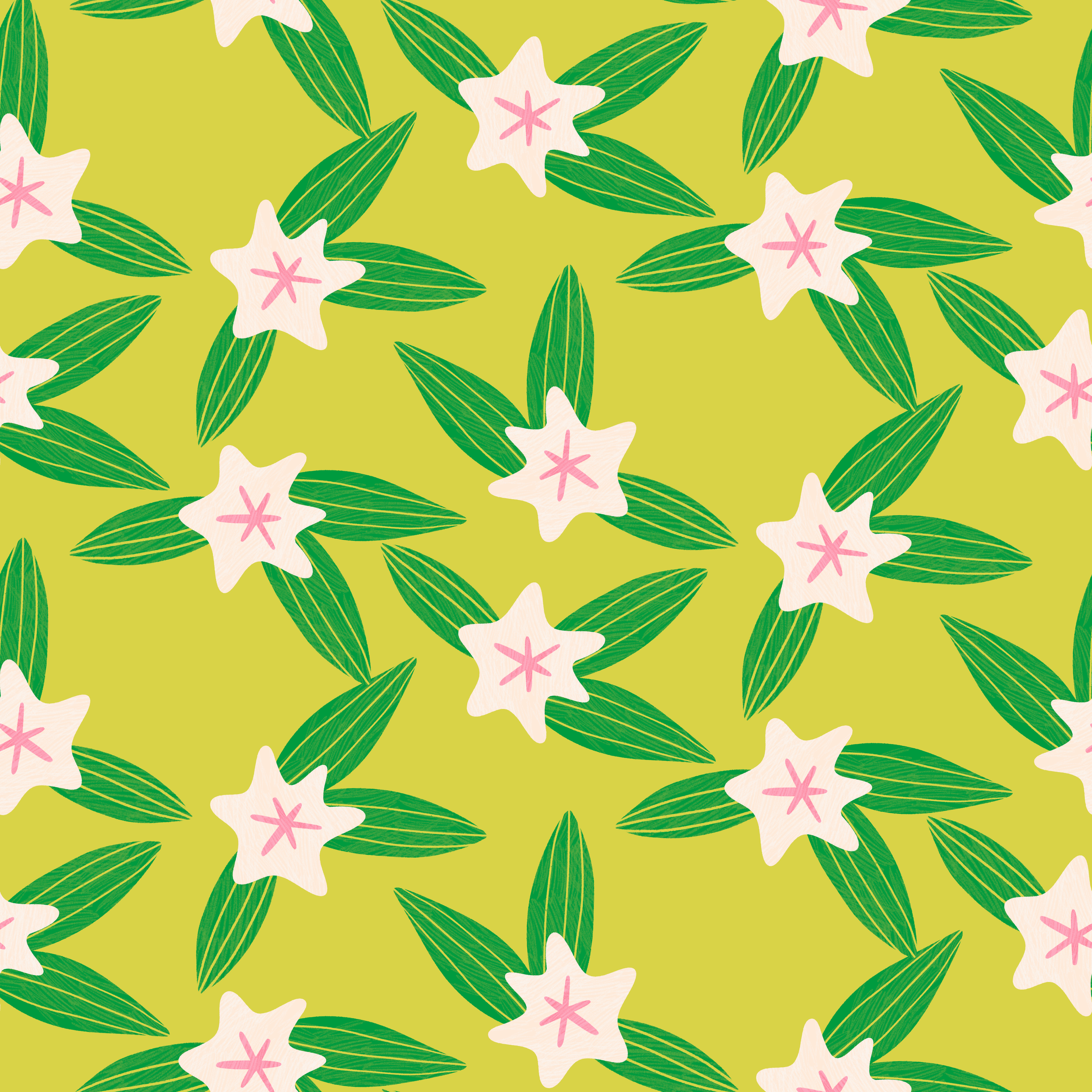 STAR FLOWERS 2.png