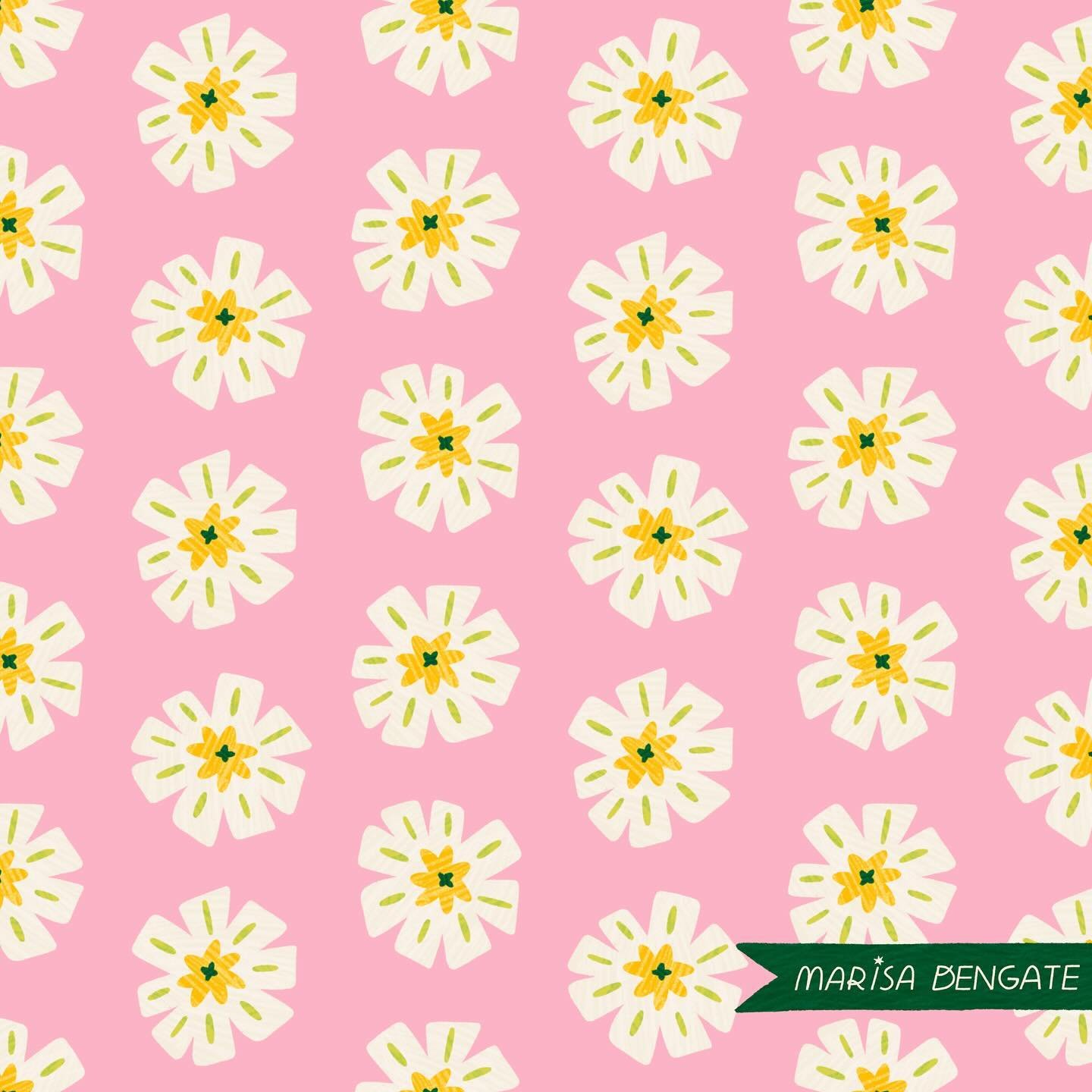 DITSY DAISIES 🌼

sorry for my mini hiatus on here! i had a pretty bad flu which turned into pneumonia somehow! so i&rsquo;ve been resting a bunch. i&rsquo;m finally feeling well enough to create :) 

#floraldesigns #gardenfloral #daisydesign #spring