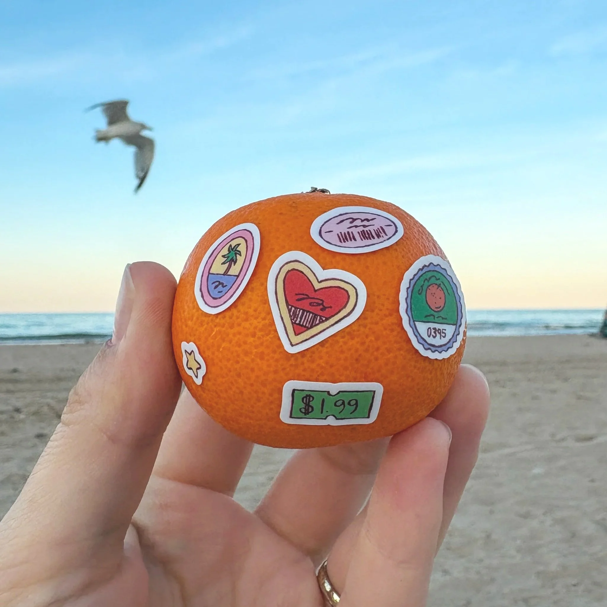 fruit+stickers+on+orange+2.jpg
