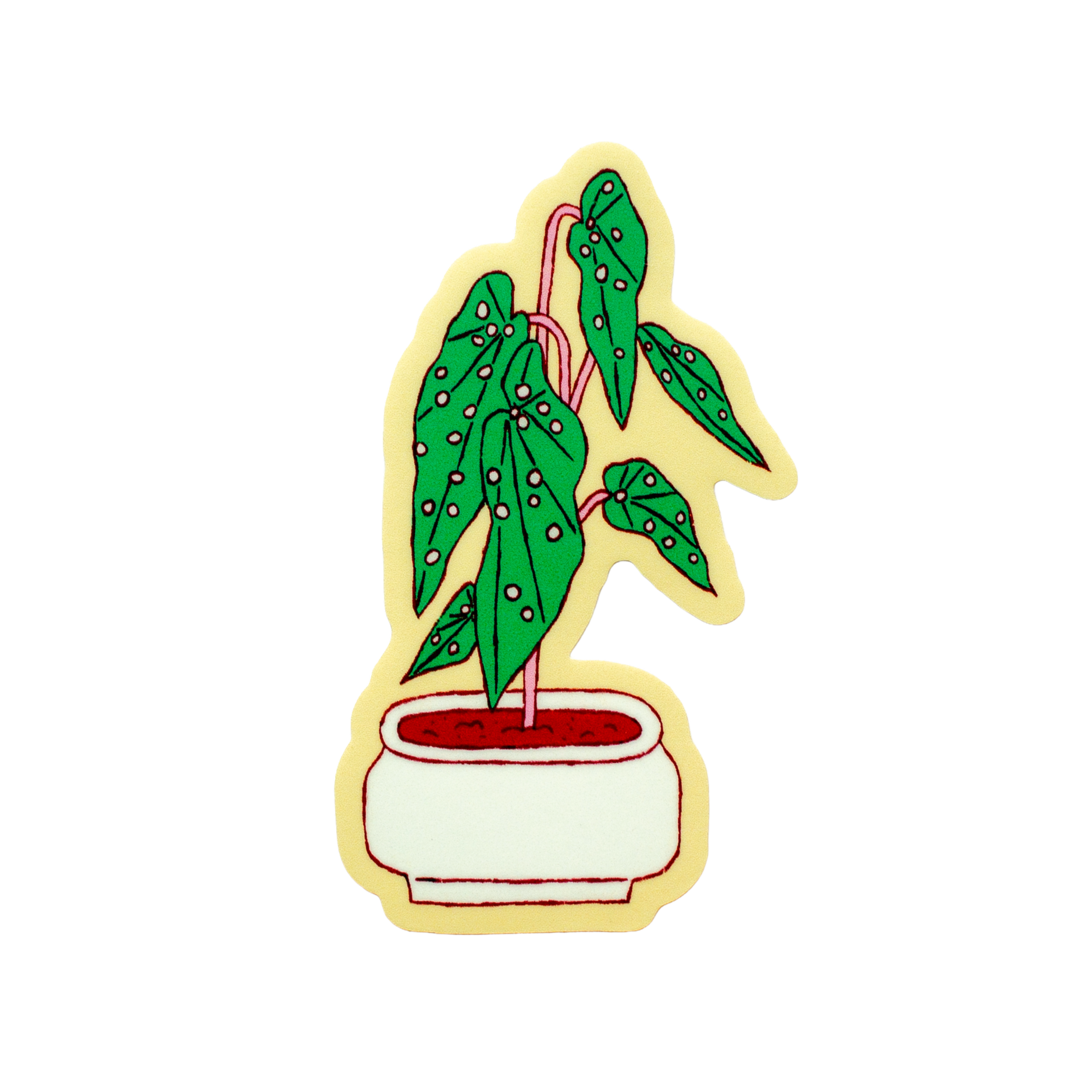 ms. dotty begonia sticker