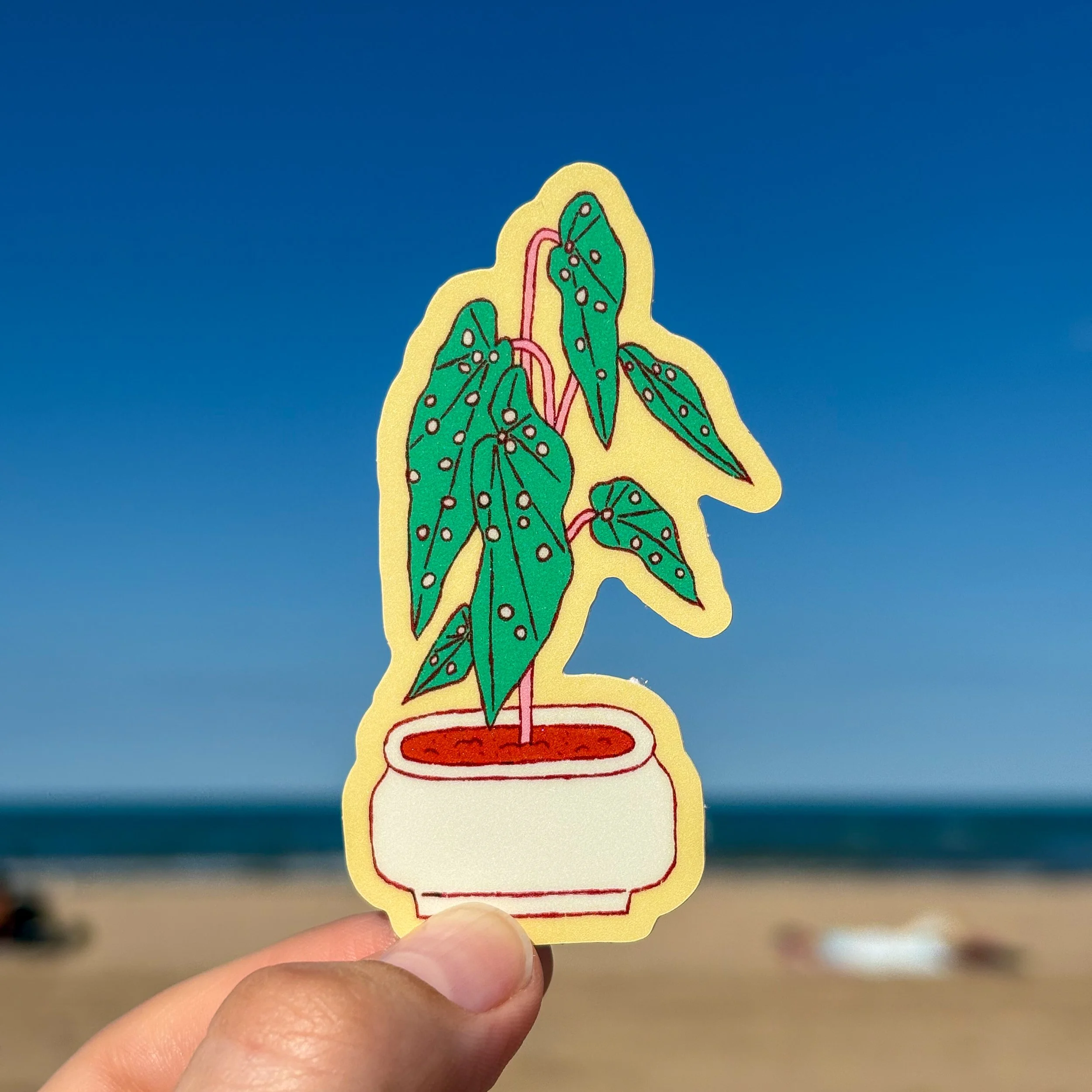 begonia sticker.jpg