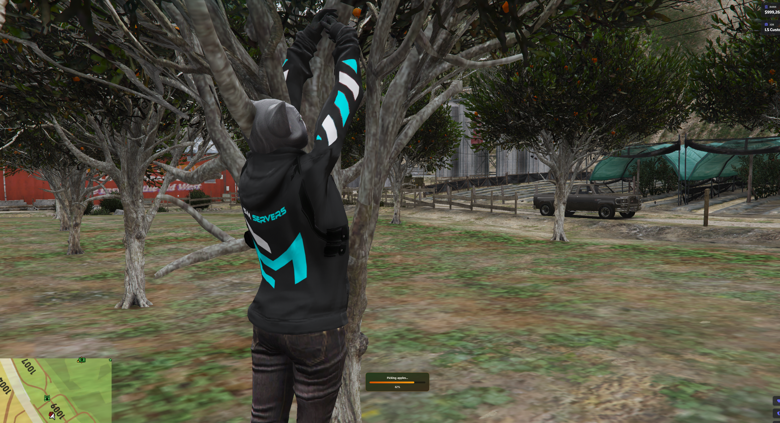 fivem-fruit-picking.png
