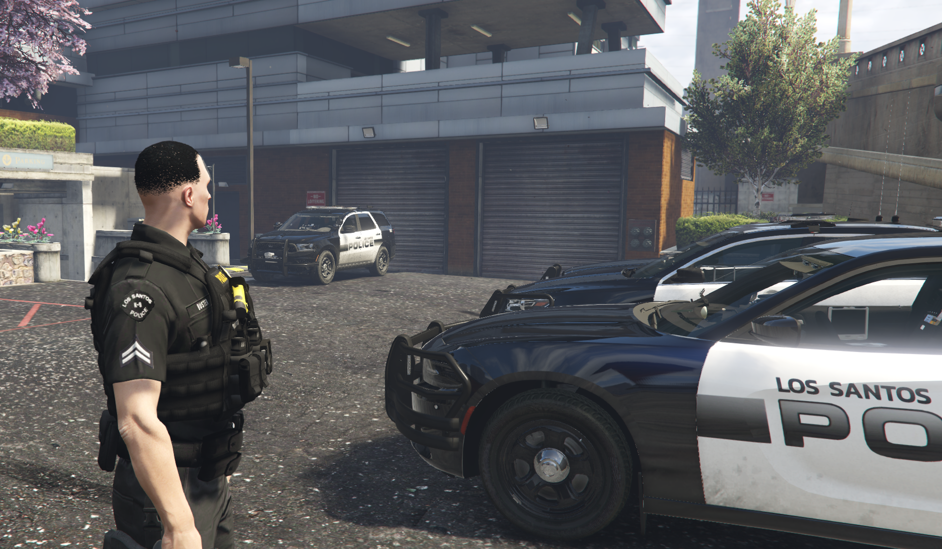fivem-police.png
