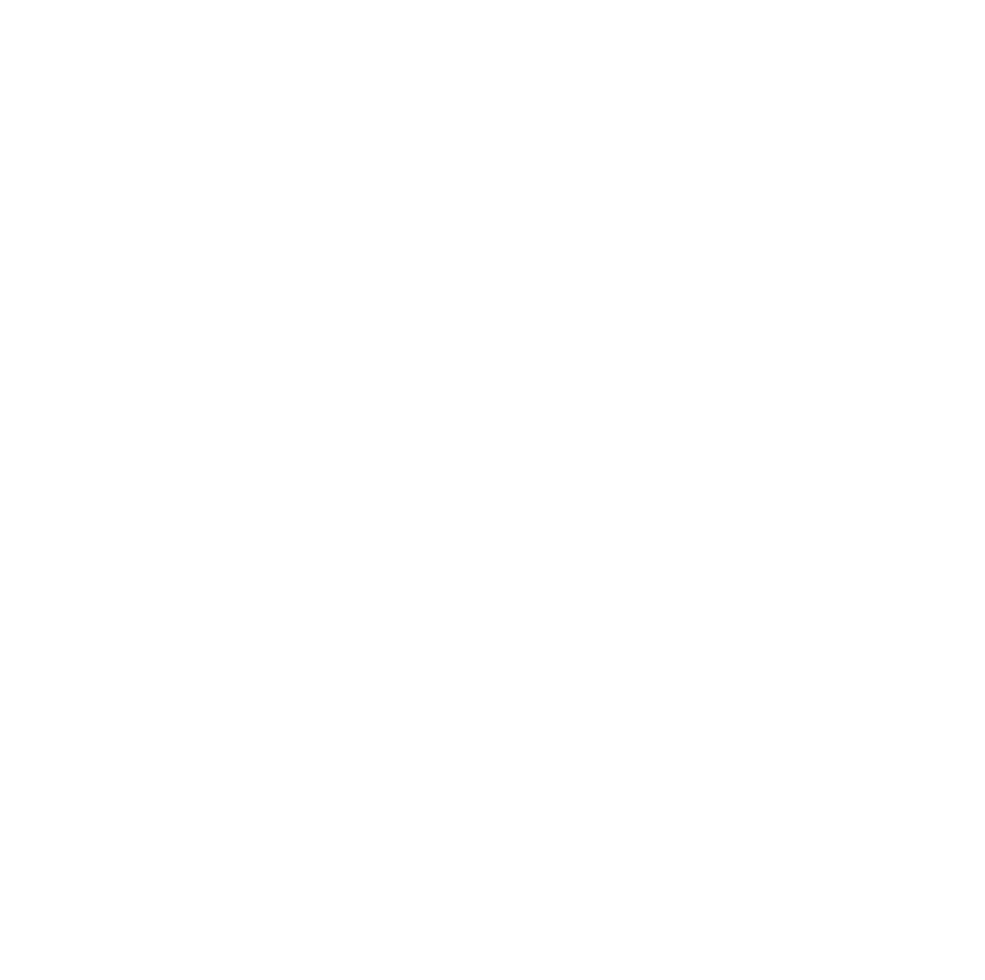 S.I.R.