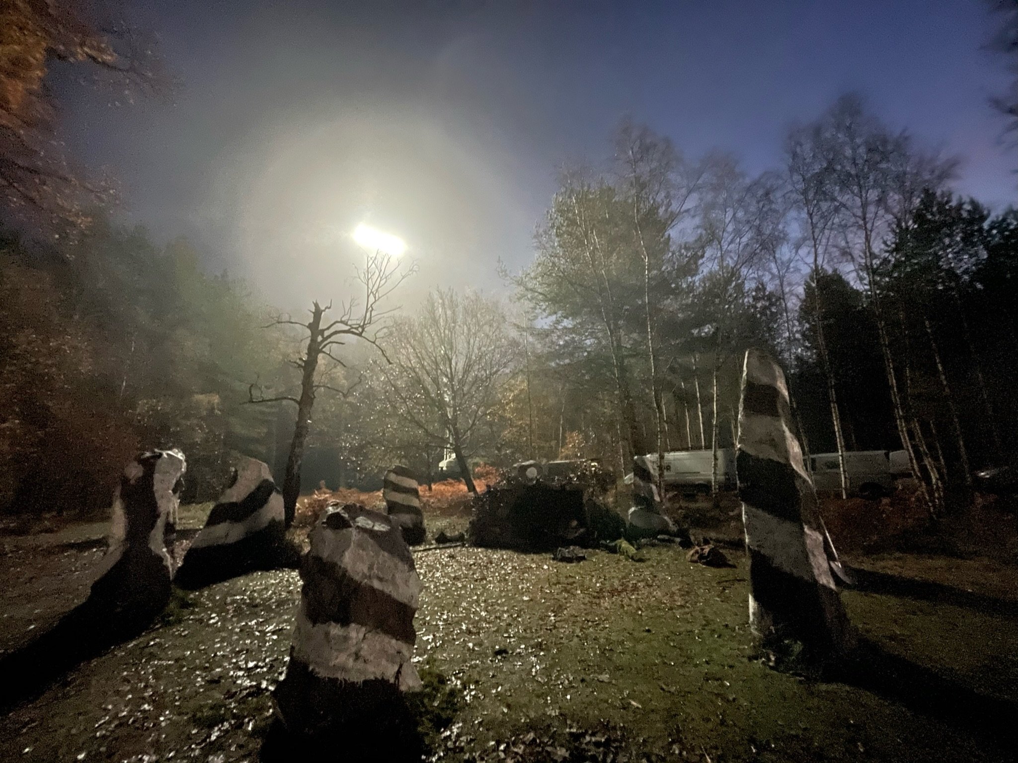 brit wood night wide01.jpeg