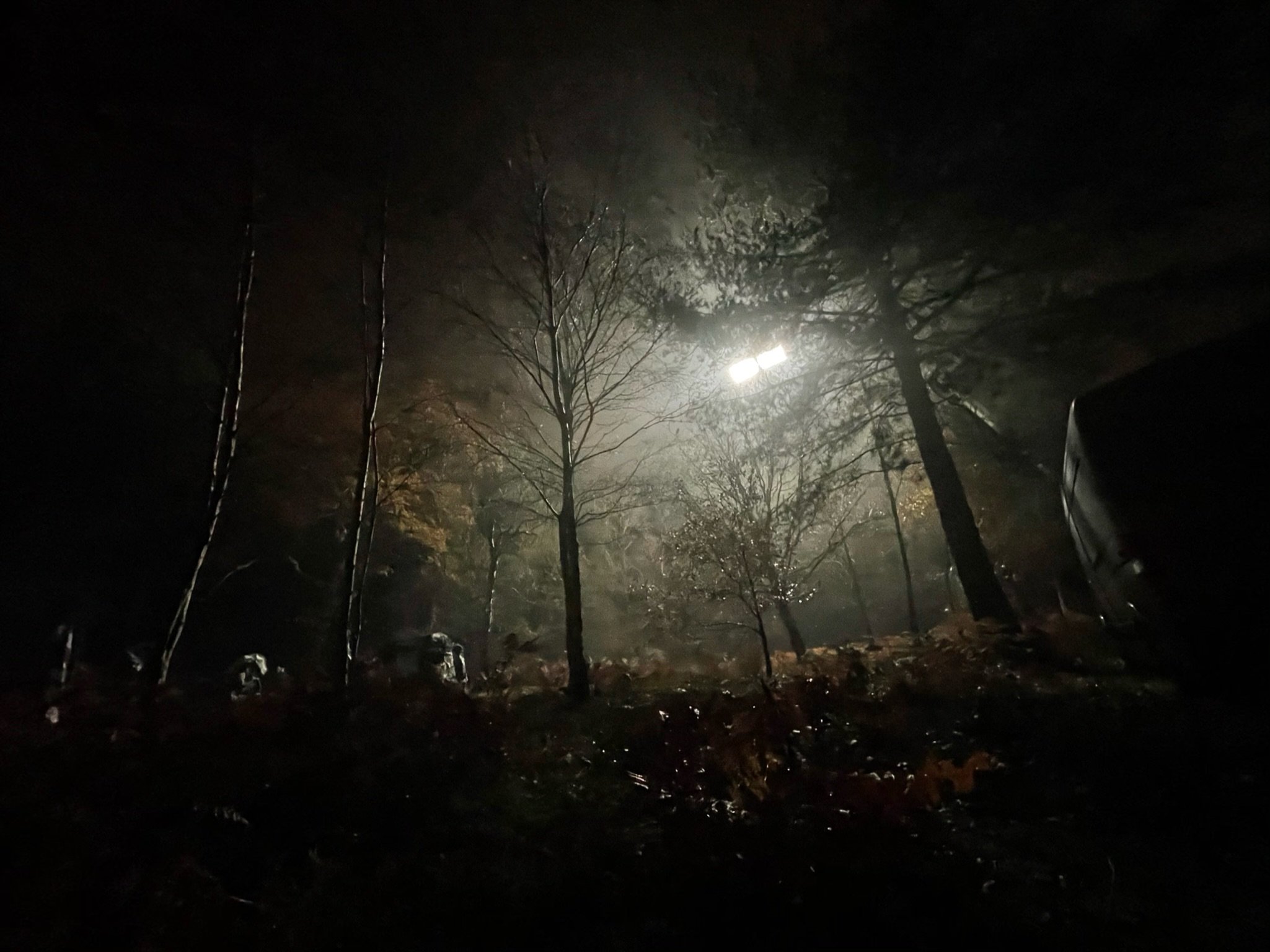 brit wood night wide22.jpeg