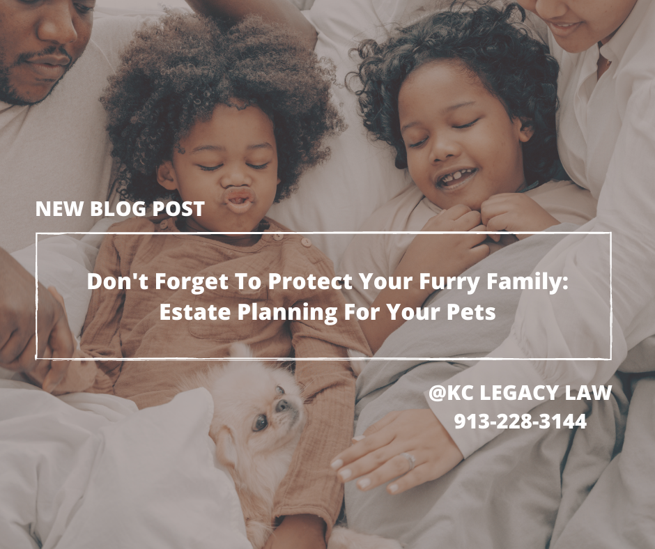 Don't Forget To Protect Your Furry Family Estate Planning For Your Pets.png