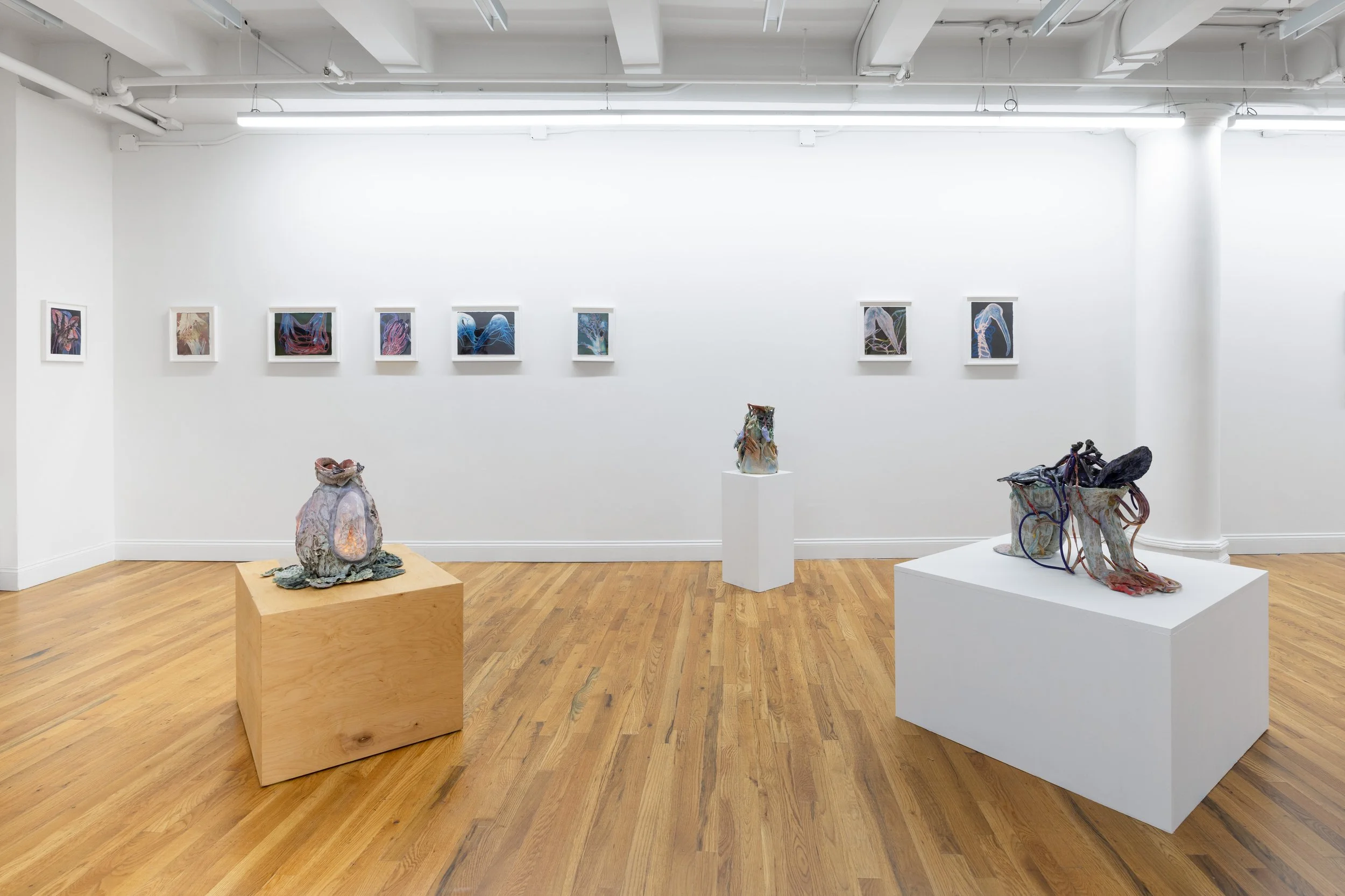 Rachel Frank: Wild Dreams | Oct 14 - Nov14, 2026