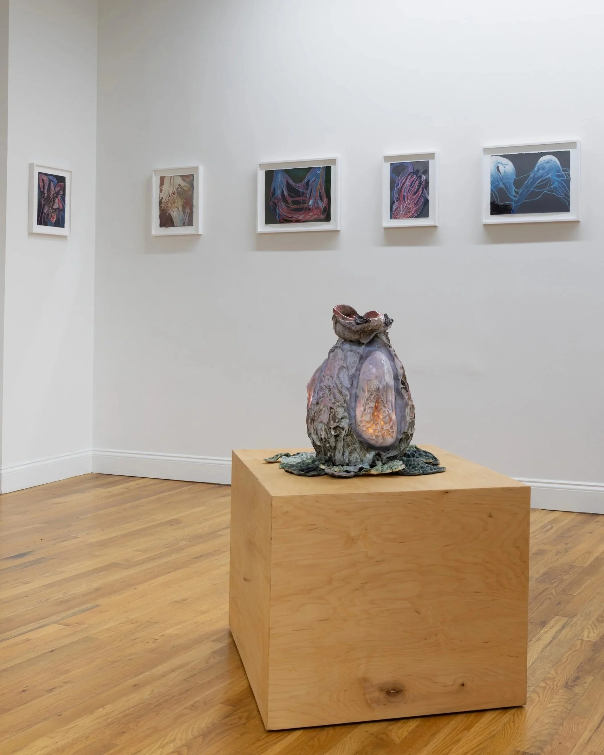 Installation shot.