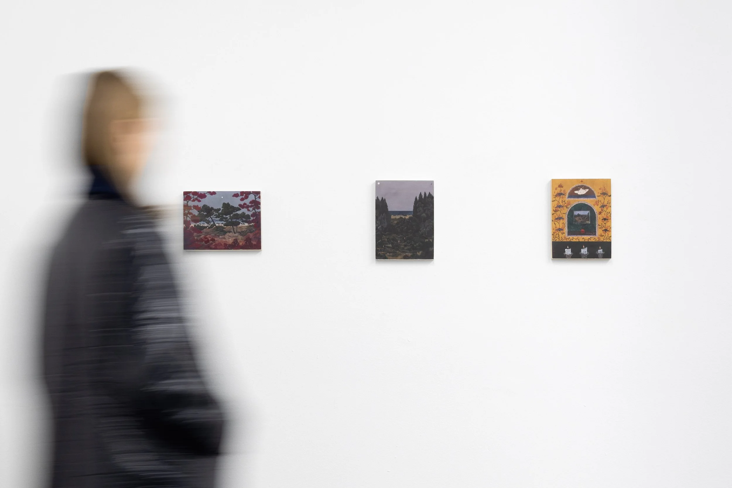 Installation Shot
