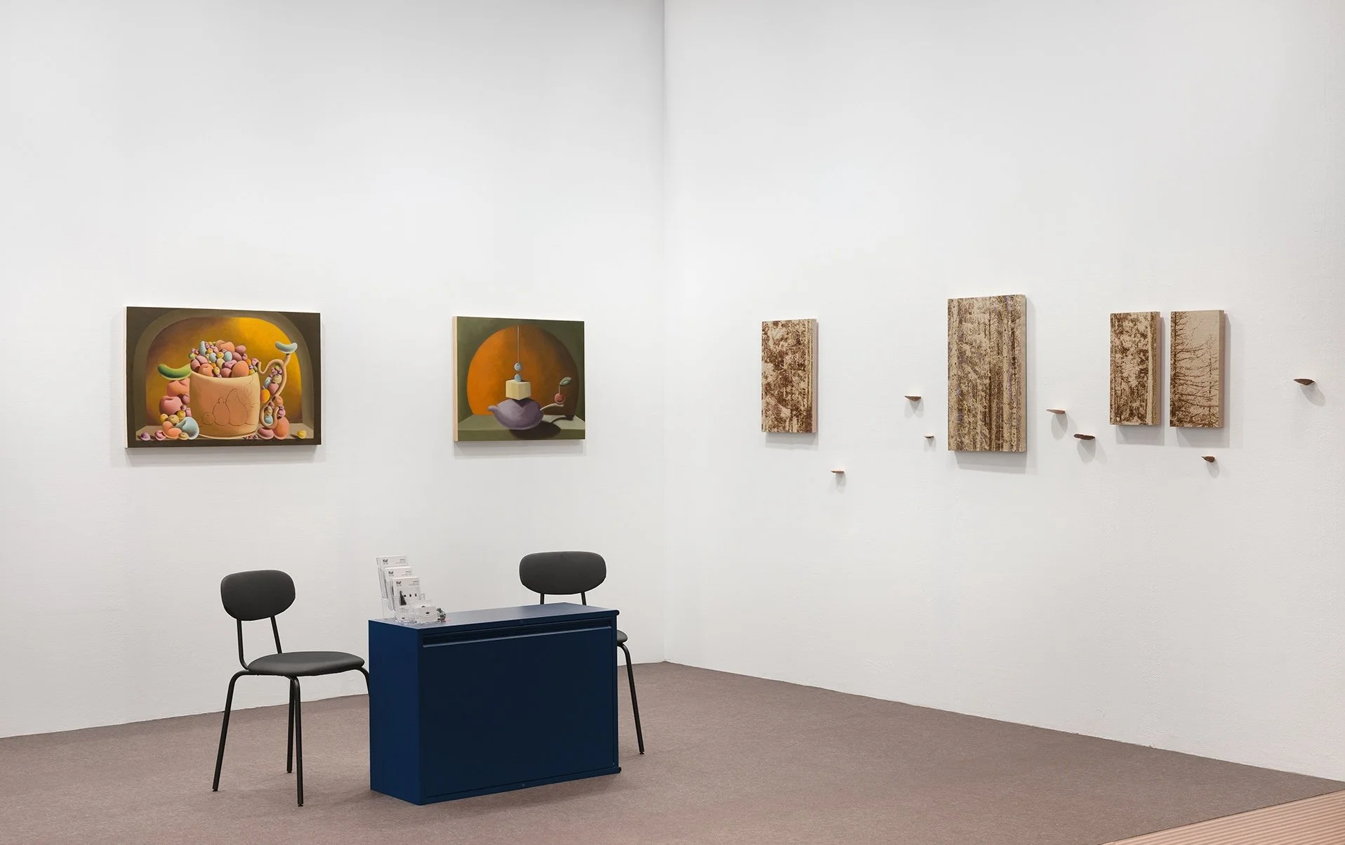 Installation Shot