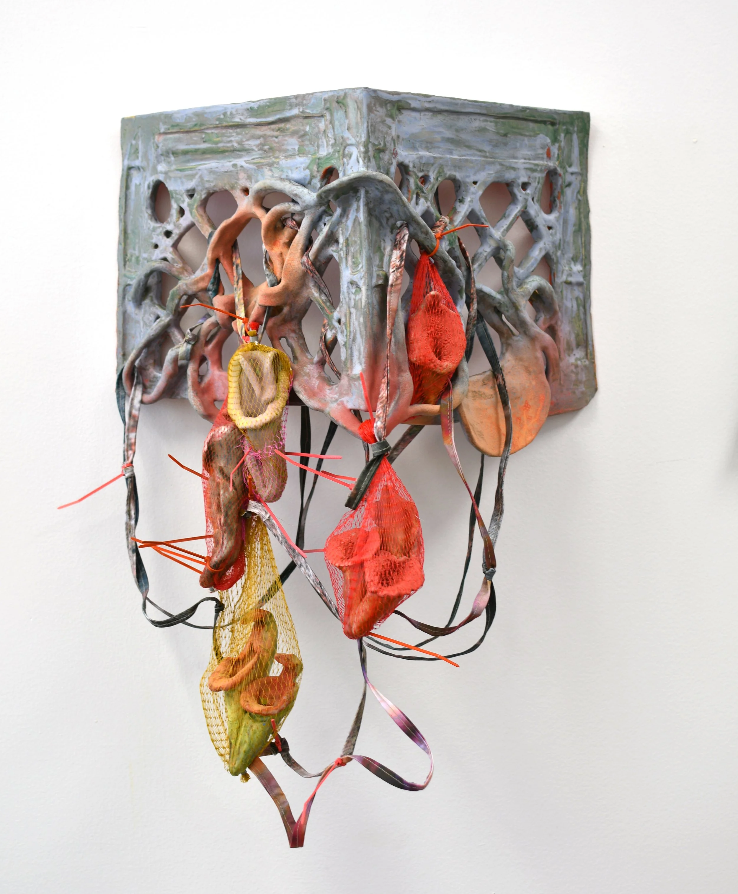 Rachel Frank,  Chrysalid Neo-Wardian Pitcher Entanglement , 2025
Stoneware ceramic with glazes, digitally printed fabric, thread, plastic produce netting, and zip-ties, 25 x 17 x 11 in
  INQUIRE  