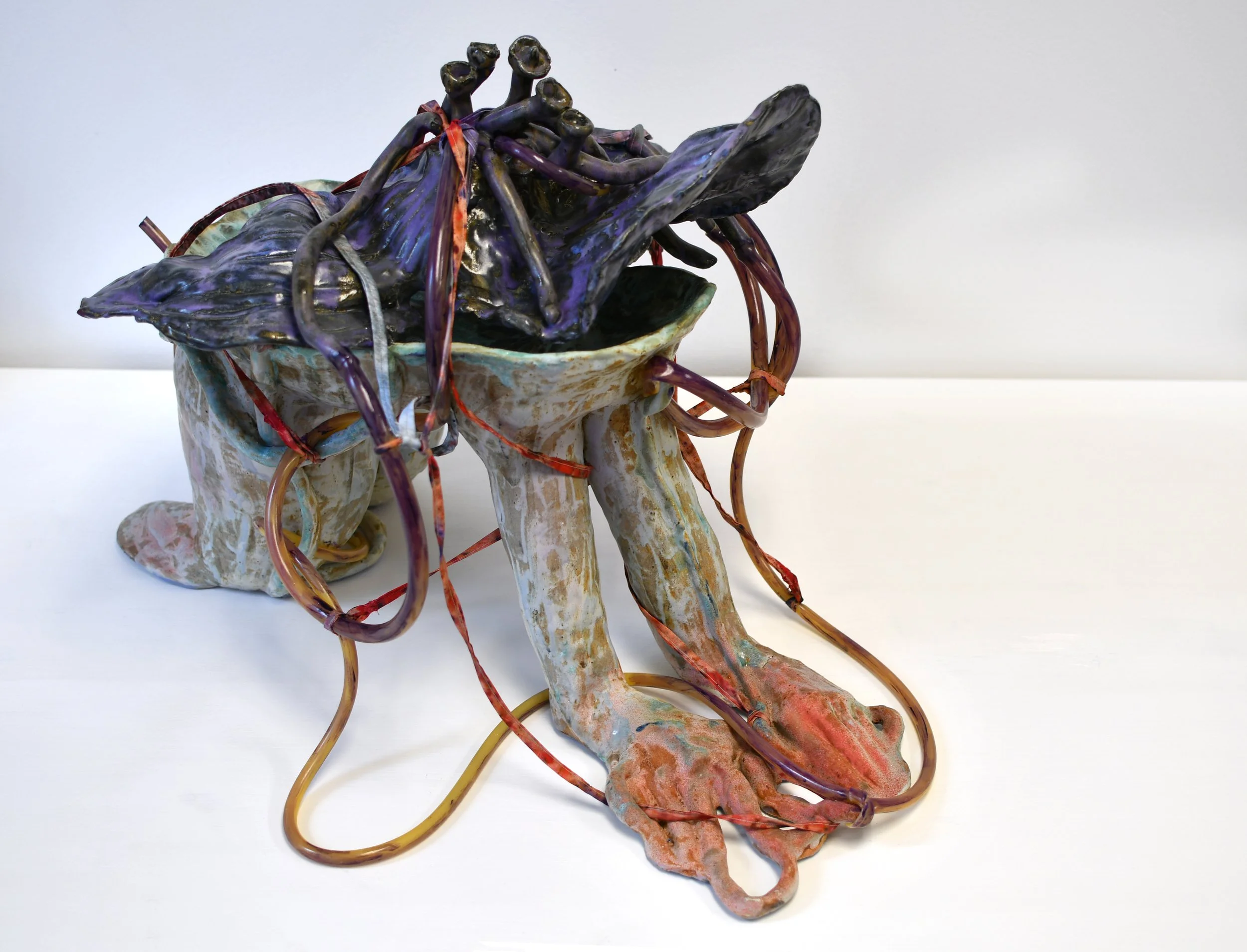 Rachel Frank,  Chrysalid Bat Flower (Tacca chantrieri) Healing Vessel , 2026, Stoneware ceramic with glazes, digitally printed fabric, thread, silicone tubing, paint, epoxy, 18 1/2 x 26 x 21 in
  INQUIRE  