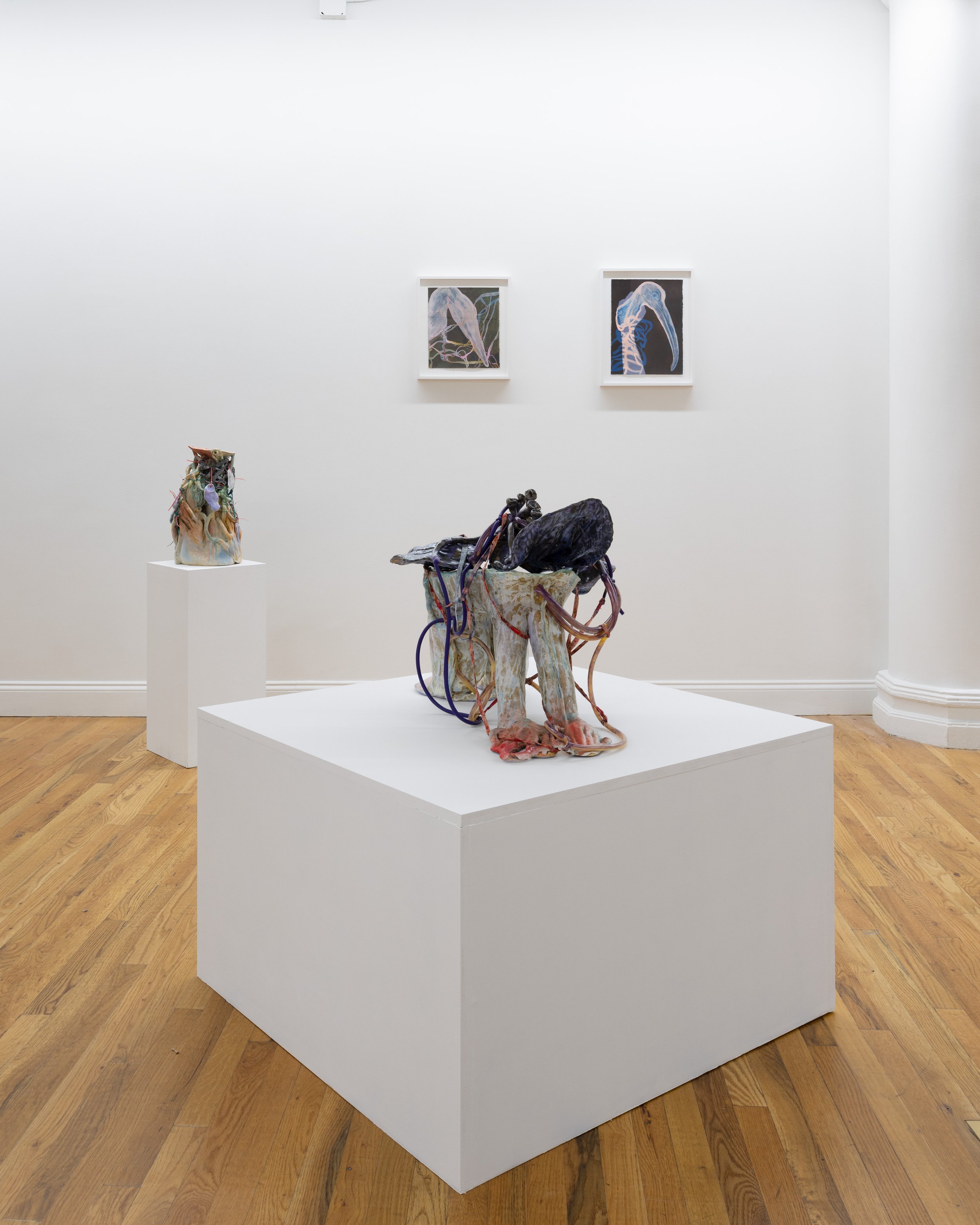 Installation shot.
