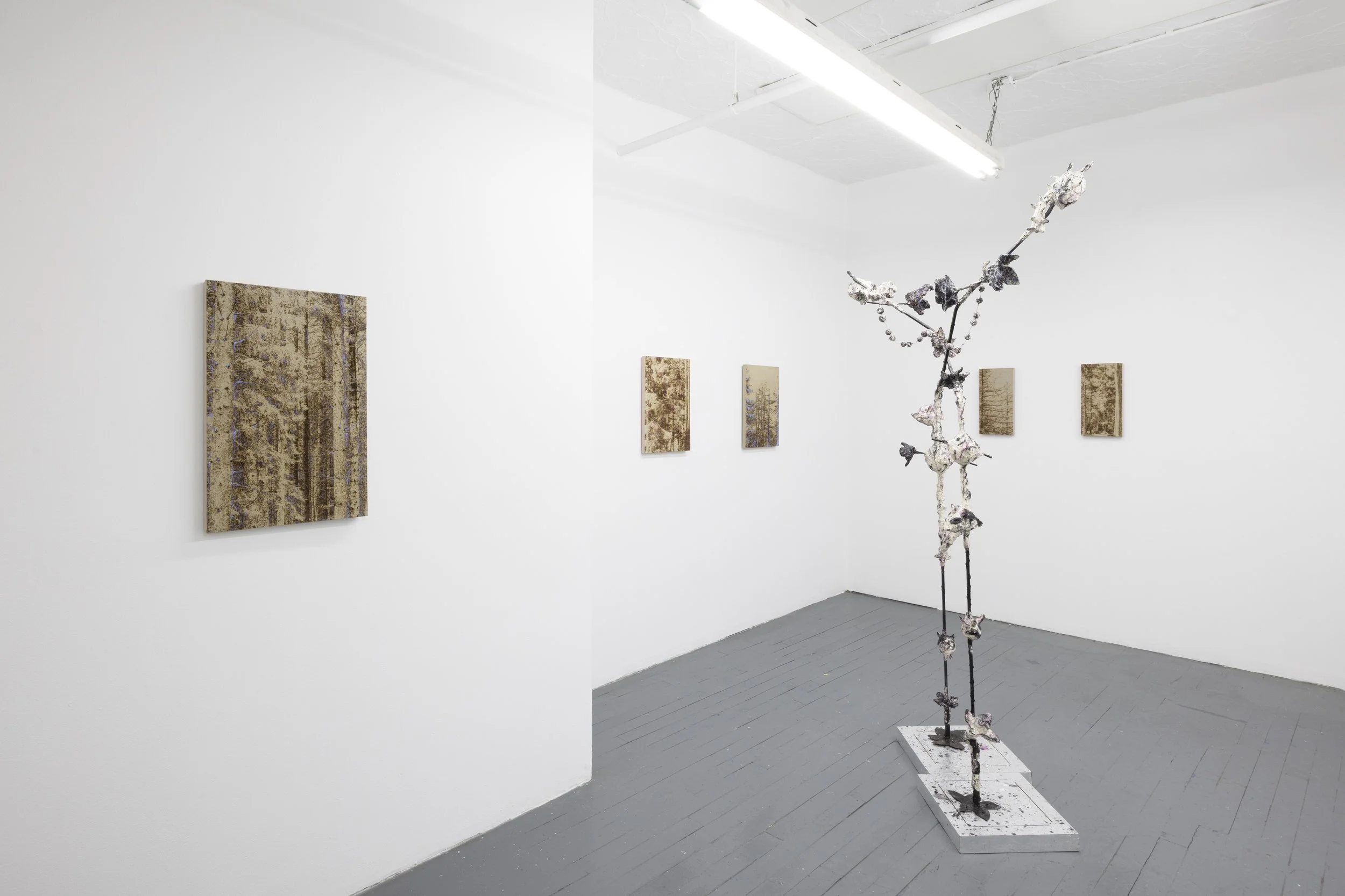 Silent Currents Anahita Bagheri & Stefano Caimi: Silent Currents | Feb 6 - Mar 7