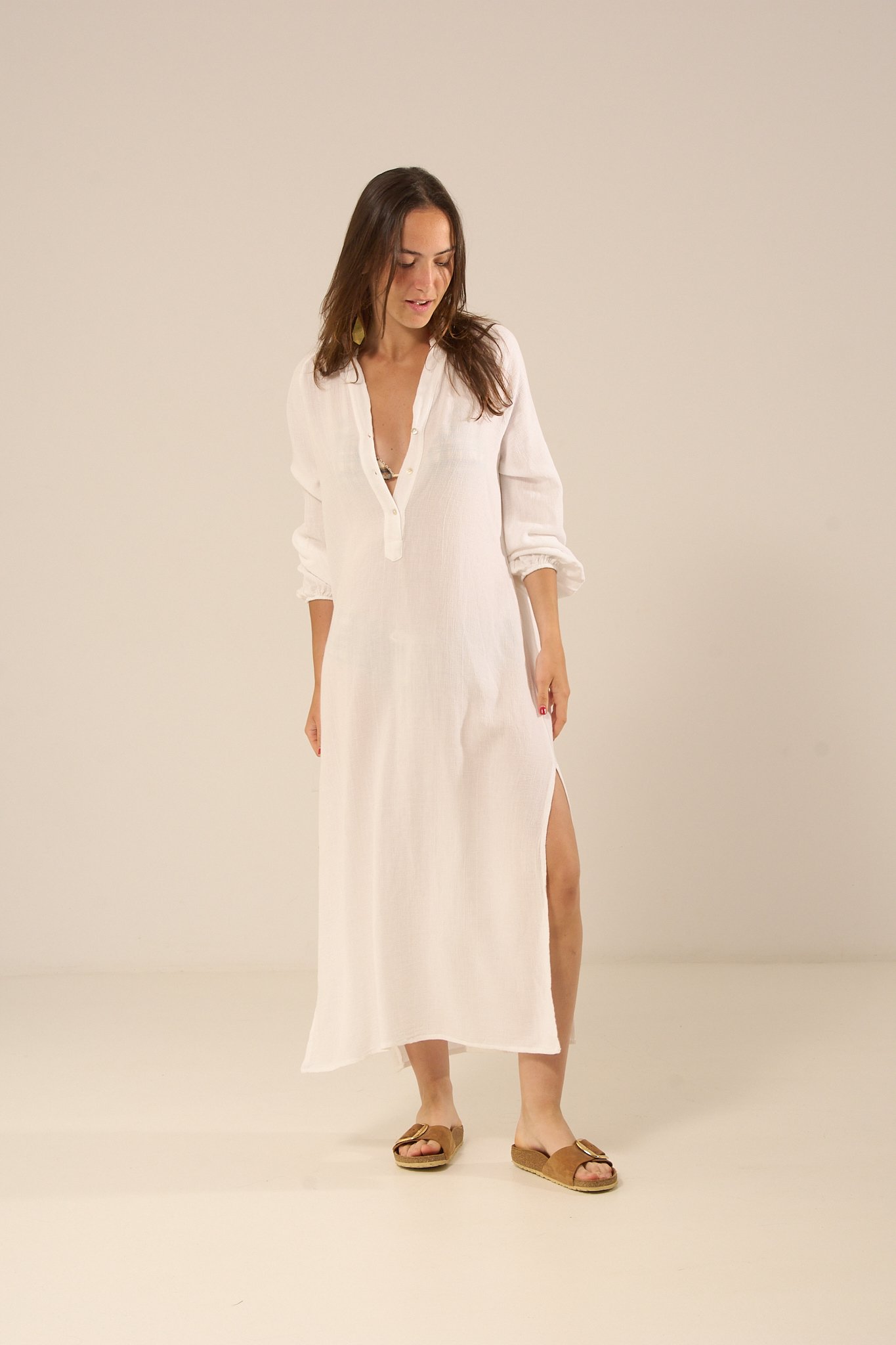 cocos 253175.jpg