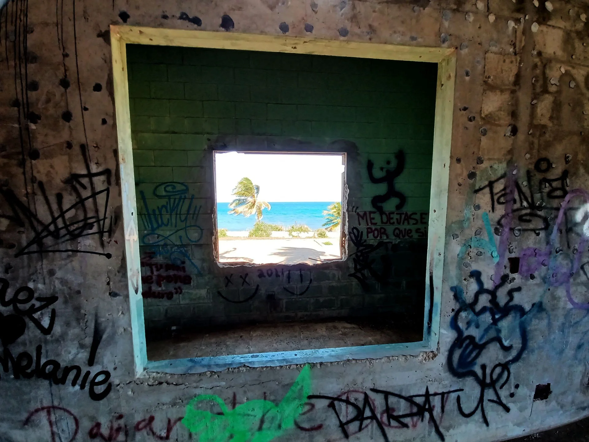 PalmaYConcreto.jpg