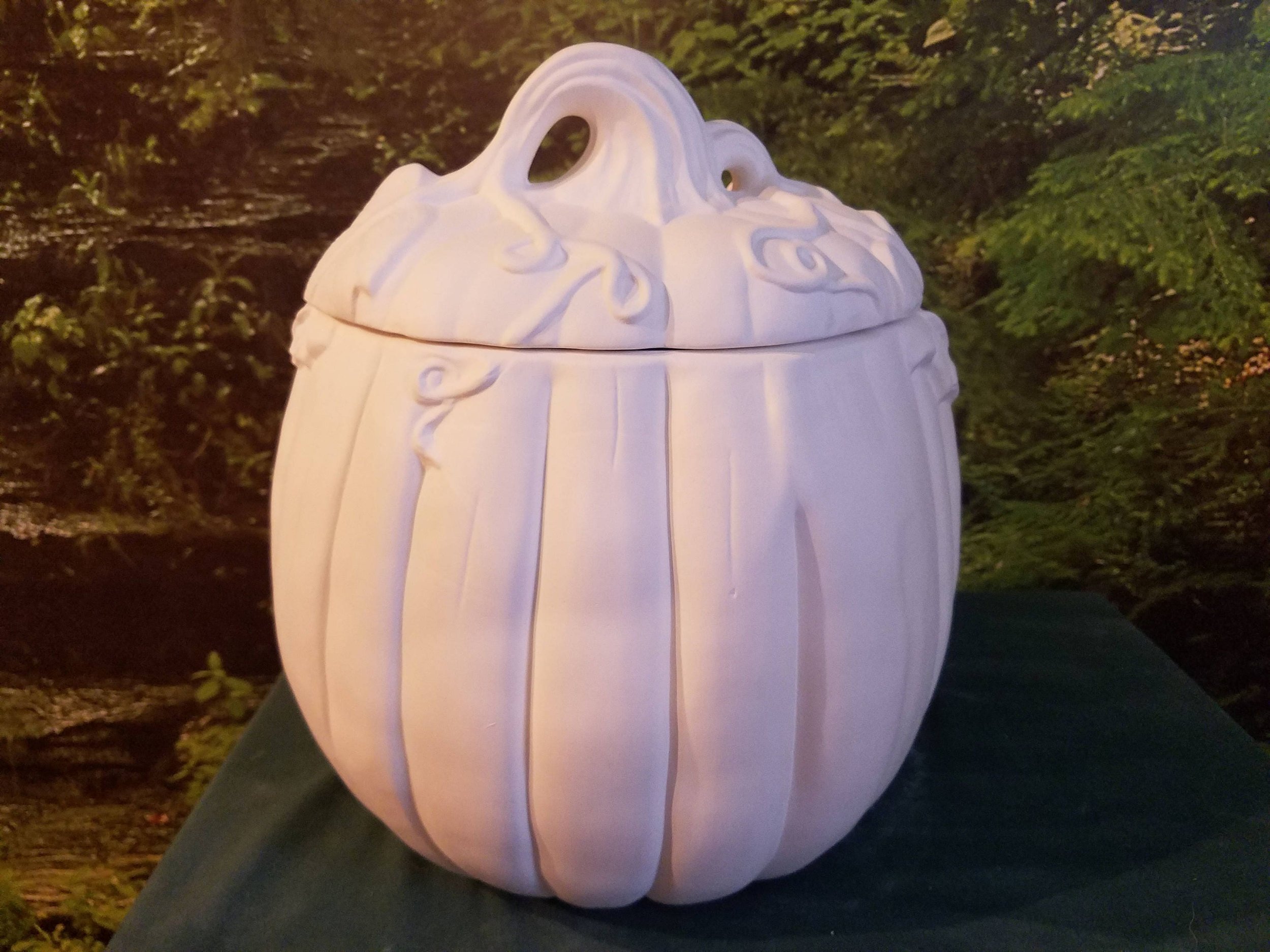 https://i.etsystatic.com/6352607/r/il/6af823/1238244649/il_fullxfull.1238244649_32b5.jpg