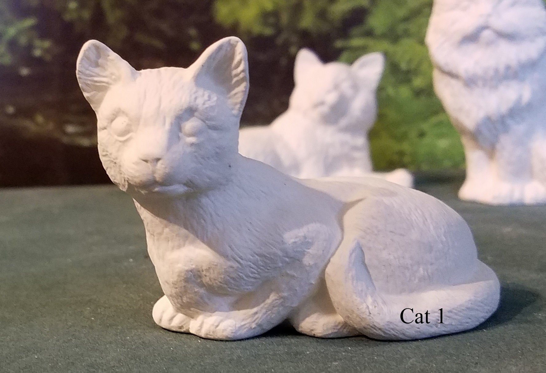 https://i.etsystatic.com/6352607/r/il/f42227/2104297372/il_fullxfull.2104297372_97n9.jpg