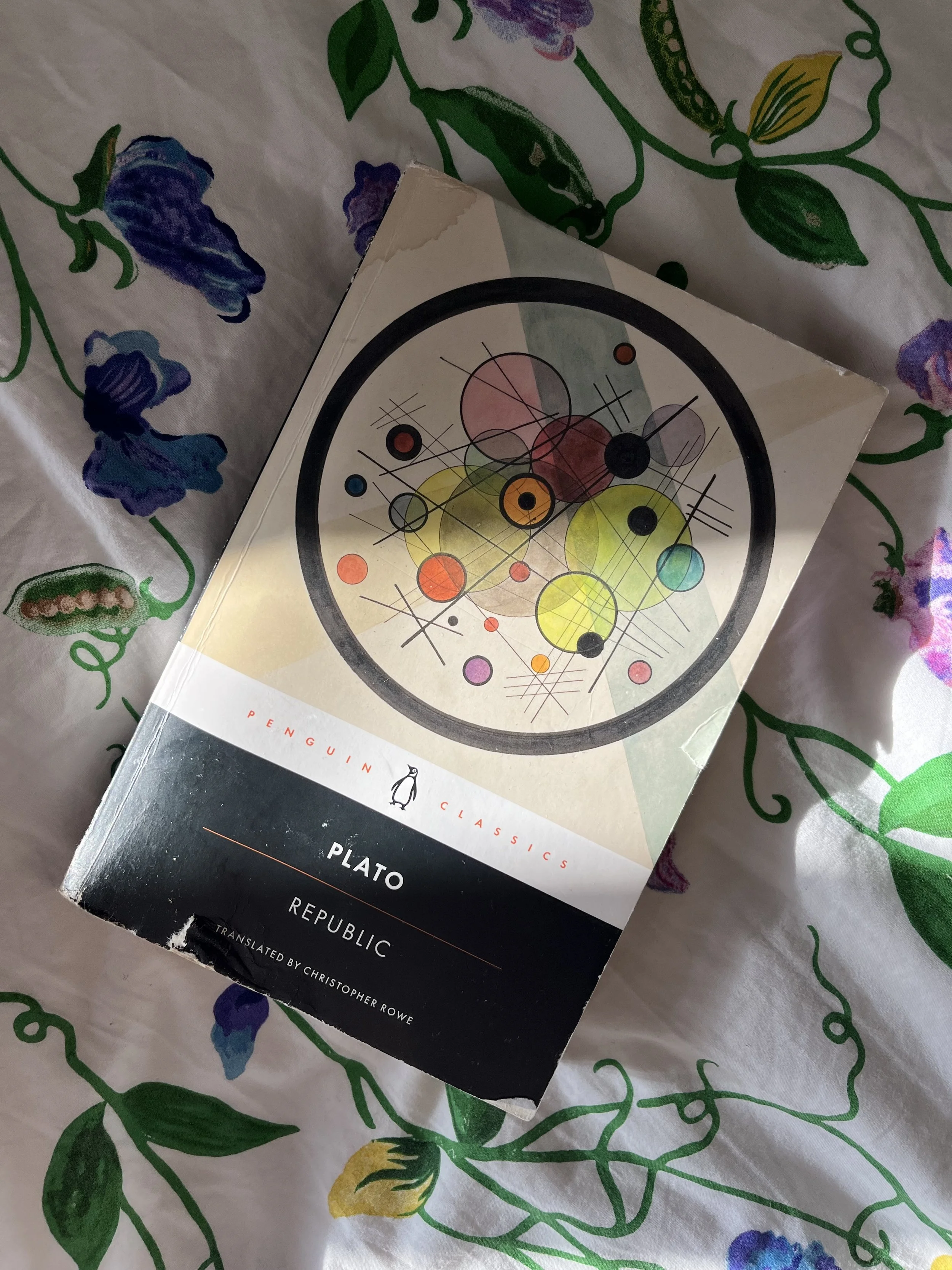 Book Review: Republic