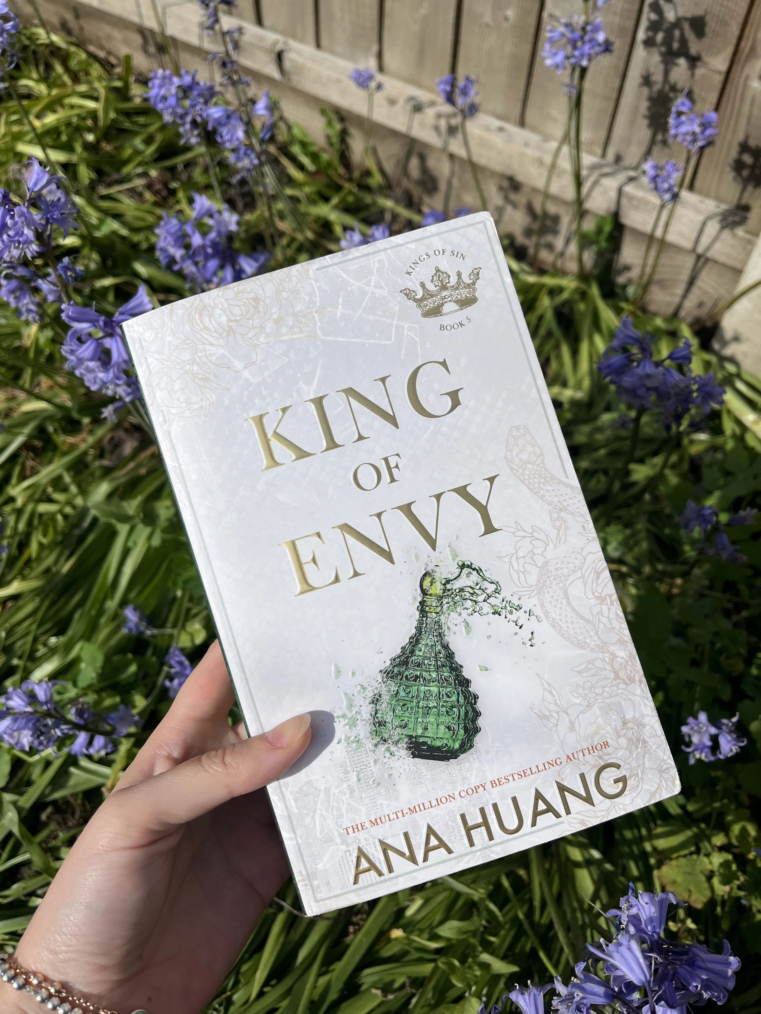 Book Review: King of Envy