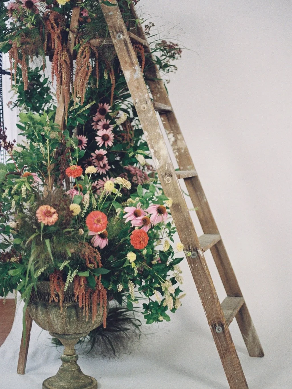 Had some fun with an old painting ladder and flowers from the garden for a @helenmerzphotography day of mini sessions at @studiofivewest. Scroll for film + digital details. 
Photographers, keep us in mind if you need some holiday scenes made for you