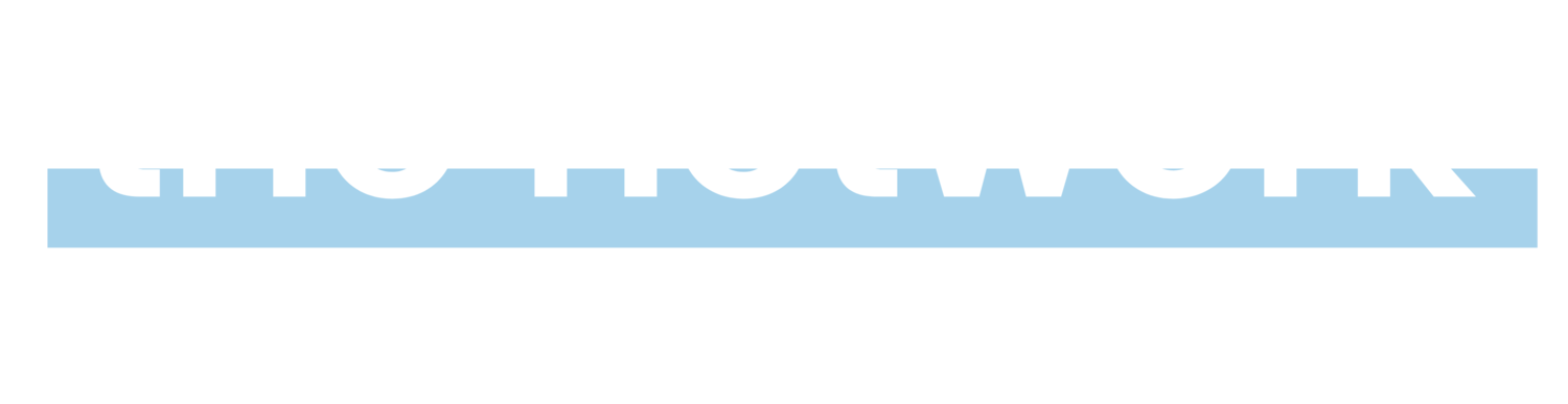 The Network | Physical Therapy