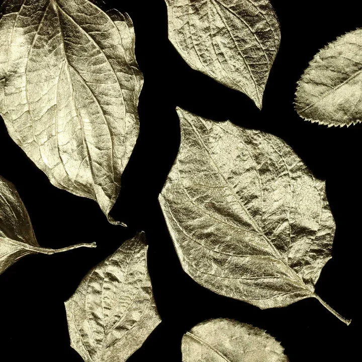 supergild-platinum-leaves.webp