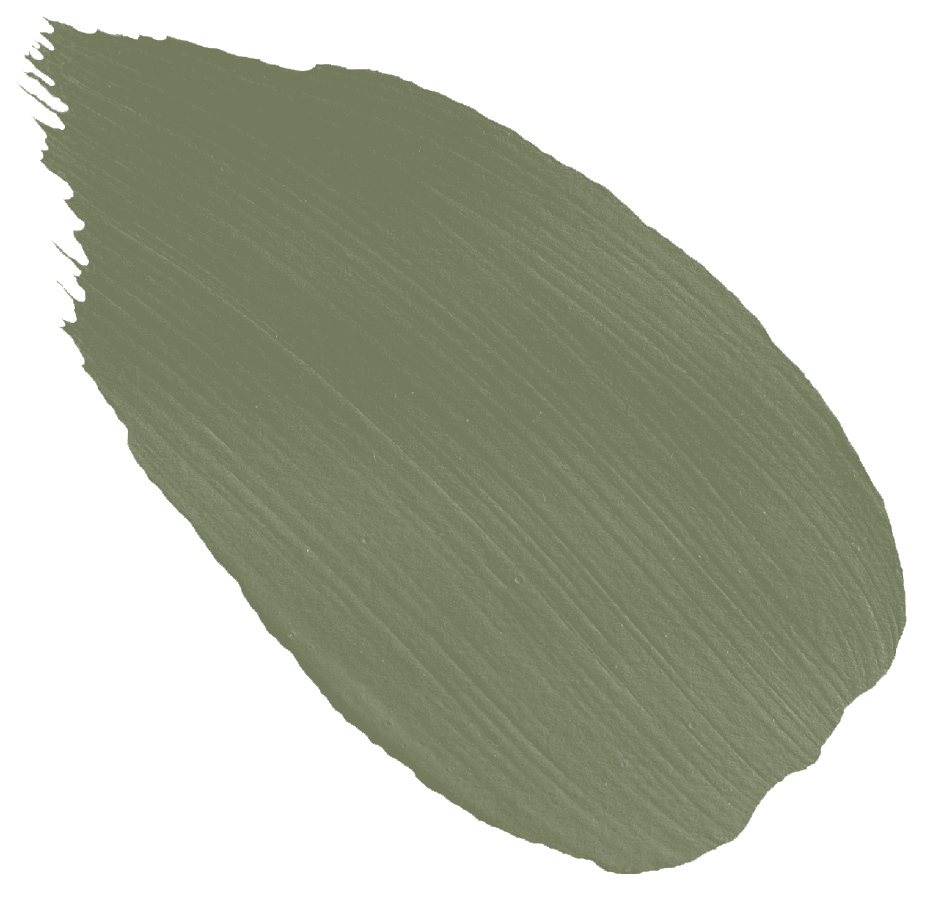 53 Natterjack.png