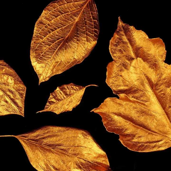 supergild-burntcopper-leaves.webp